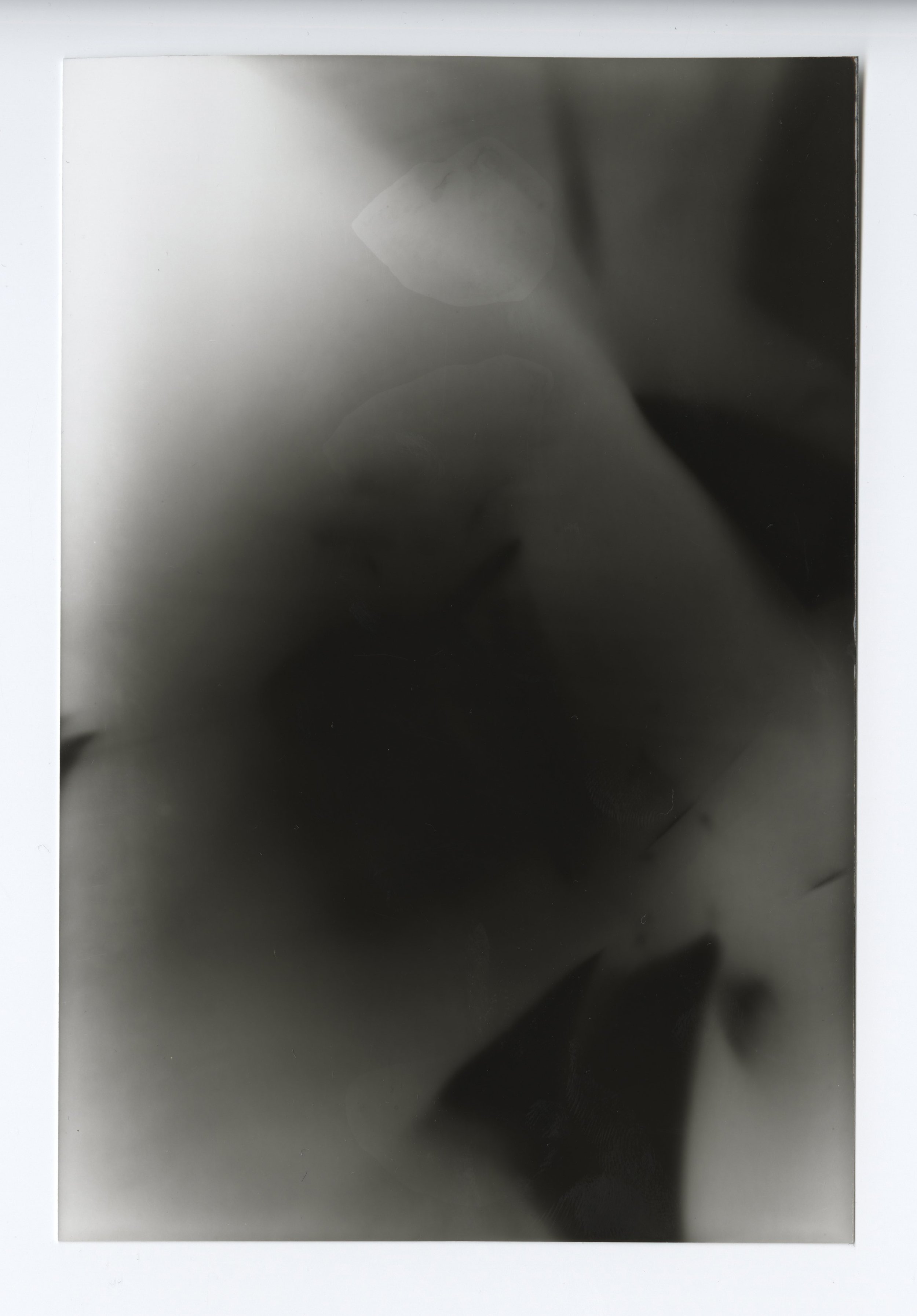 DovaniumXX004A.jpg