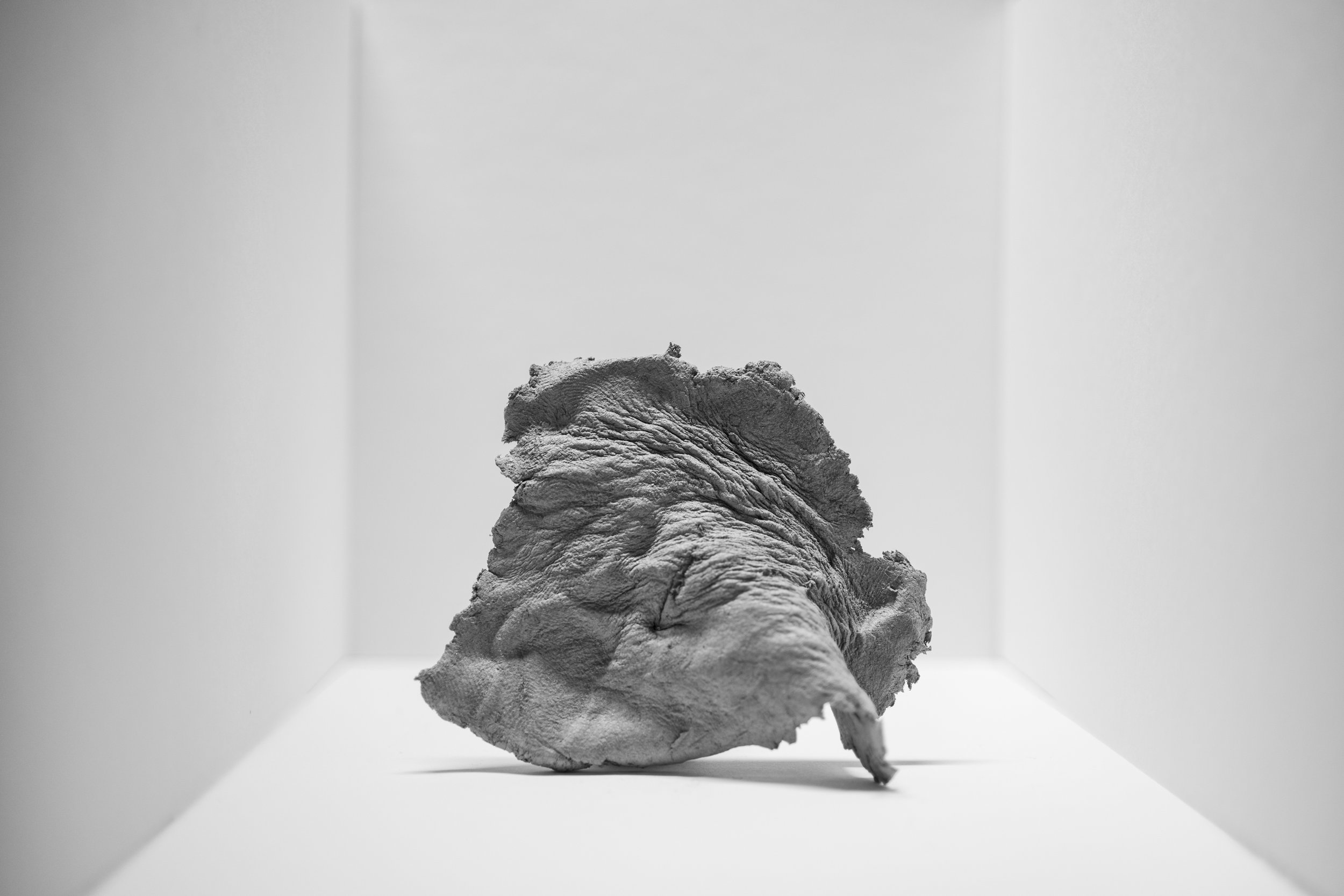 WHITETHINGS080.jpg