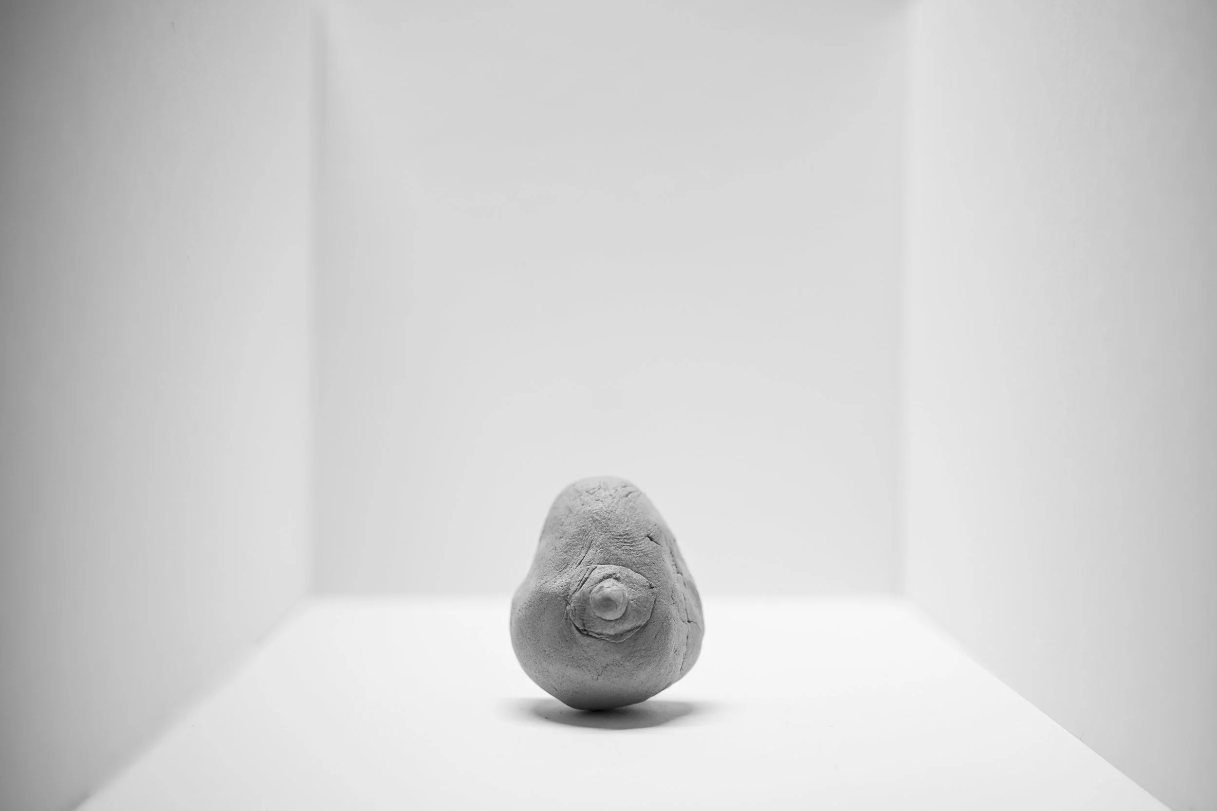 WHITETHINGS081.jpg