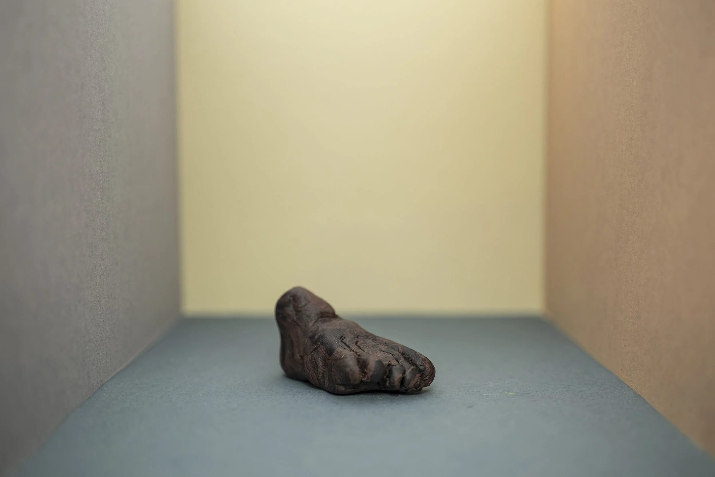 FIMOVOTIVE005.jpg