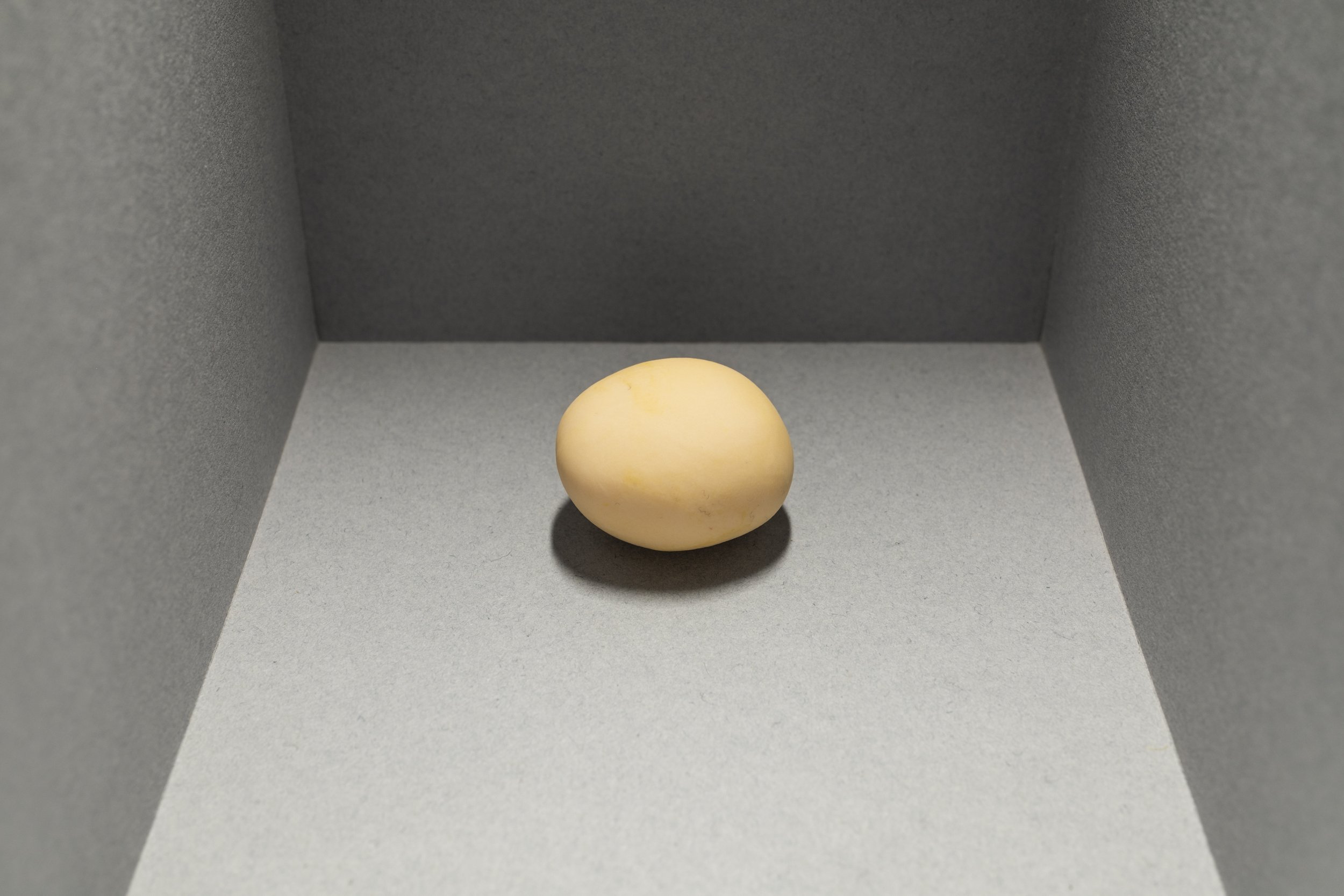 ABOVEALL233.jpg
