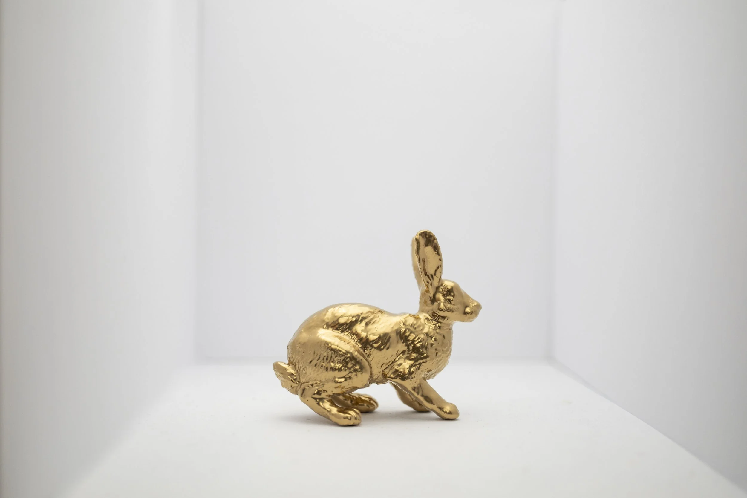 Hare002.jpg