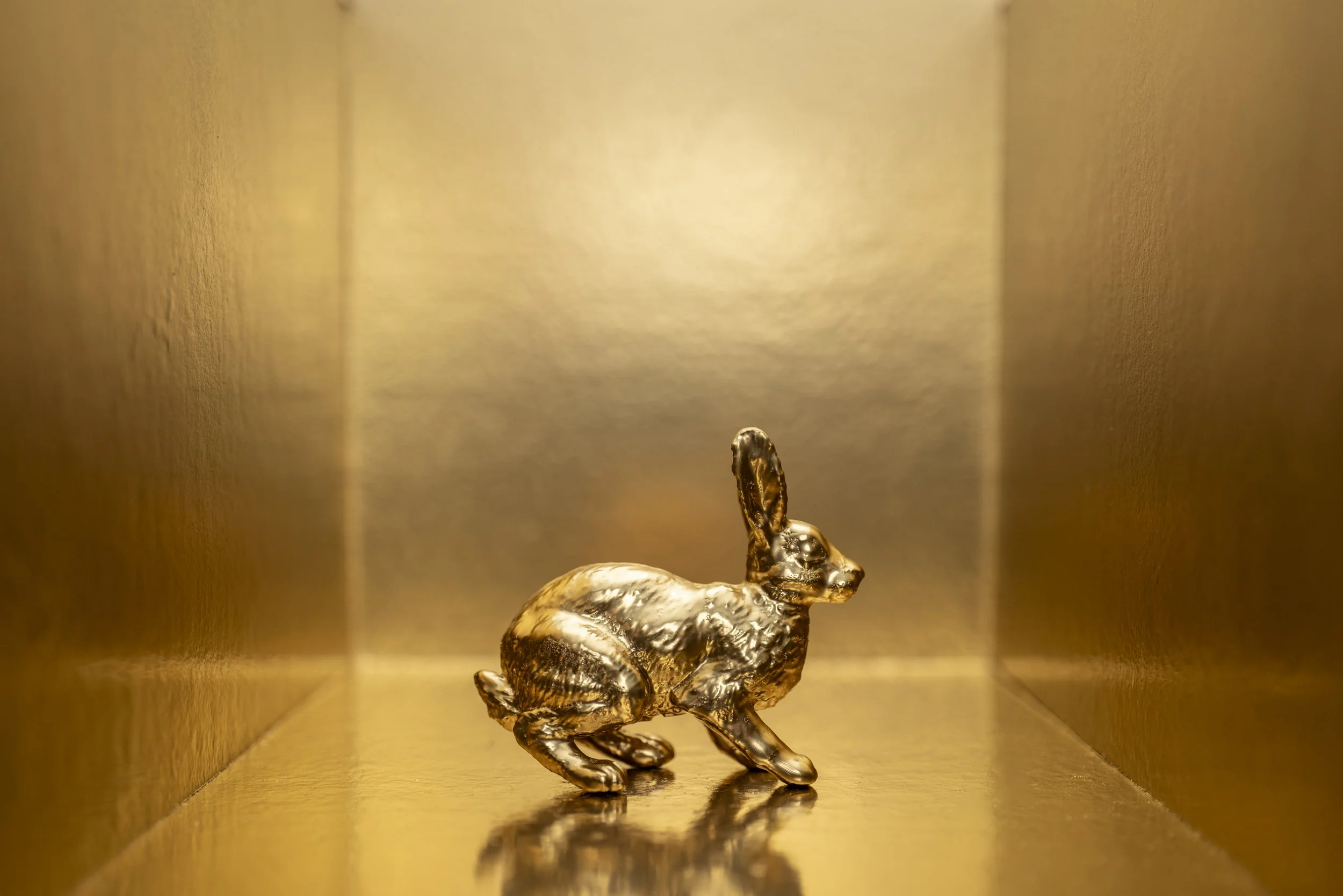 Hare001.jpg
