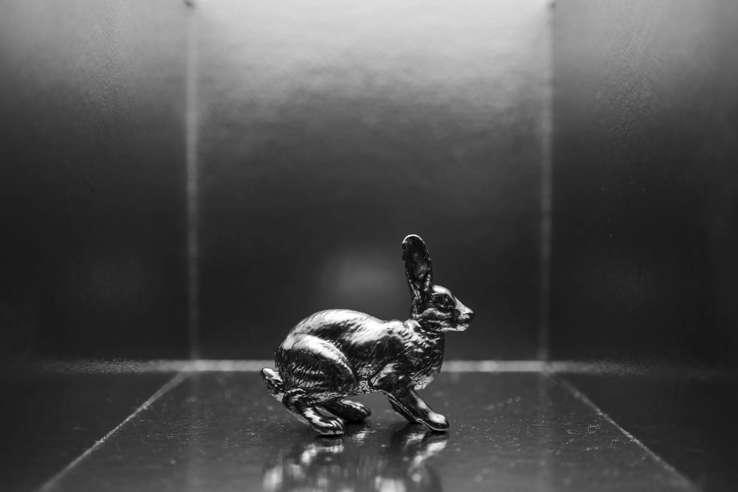 Hare003.jpg