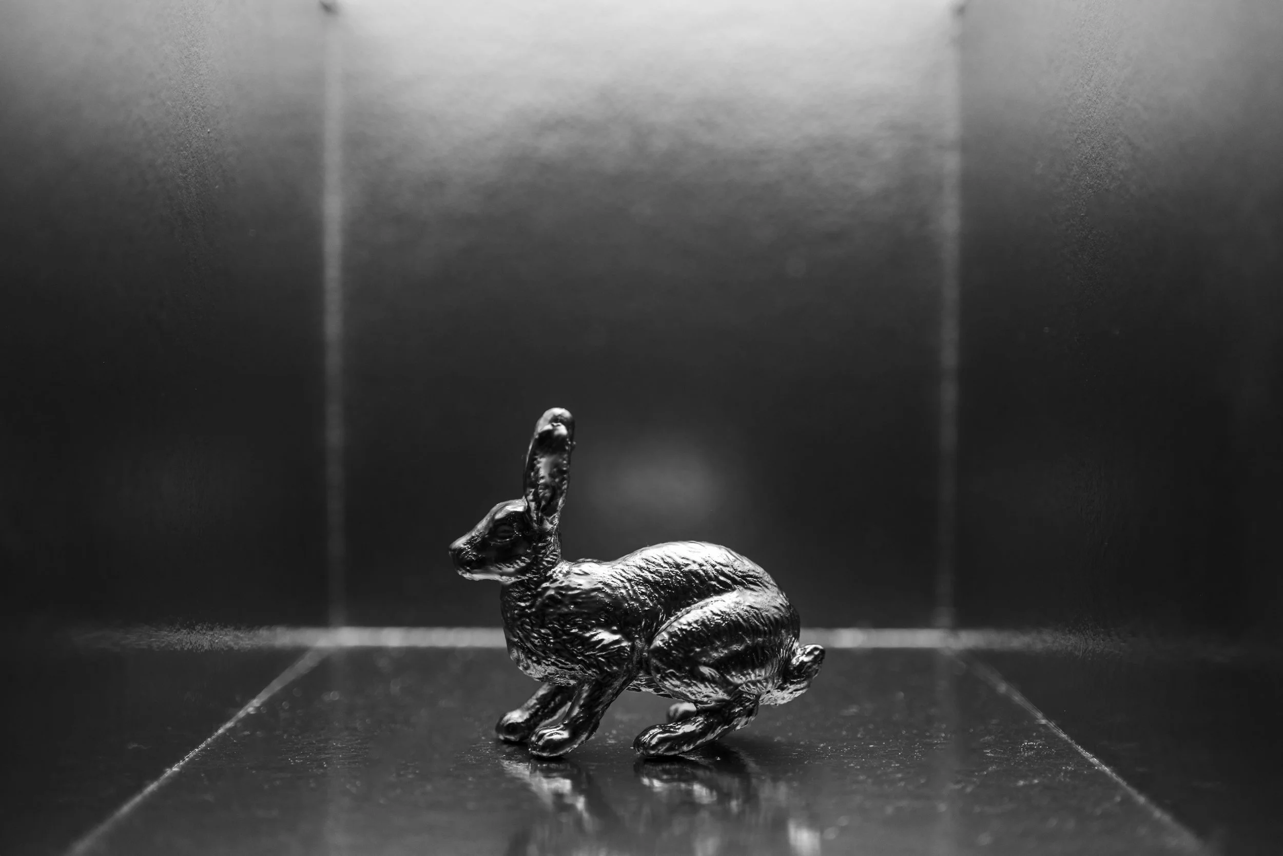 Hare004.jpg