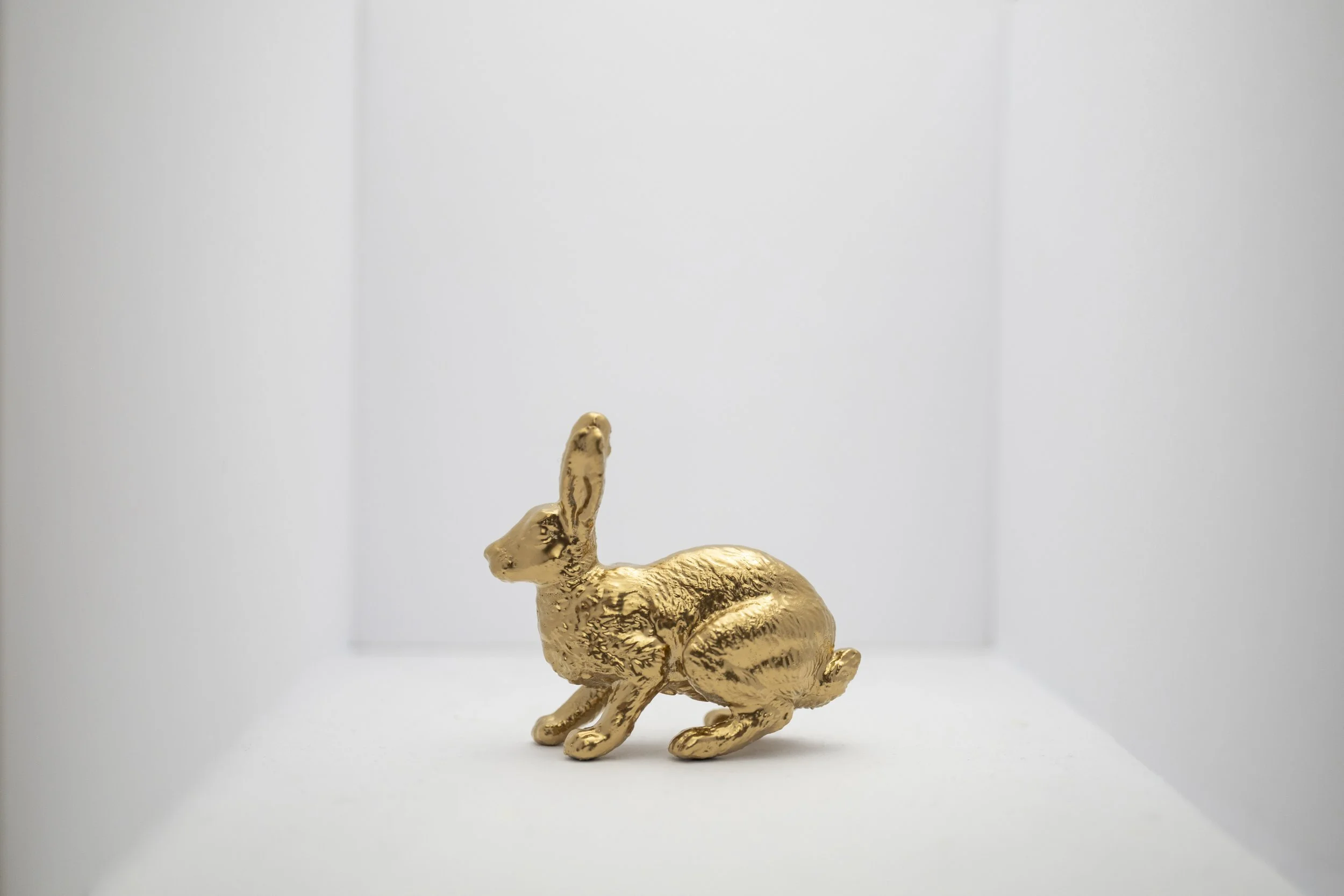 Hare005.jpg