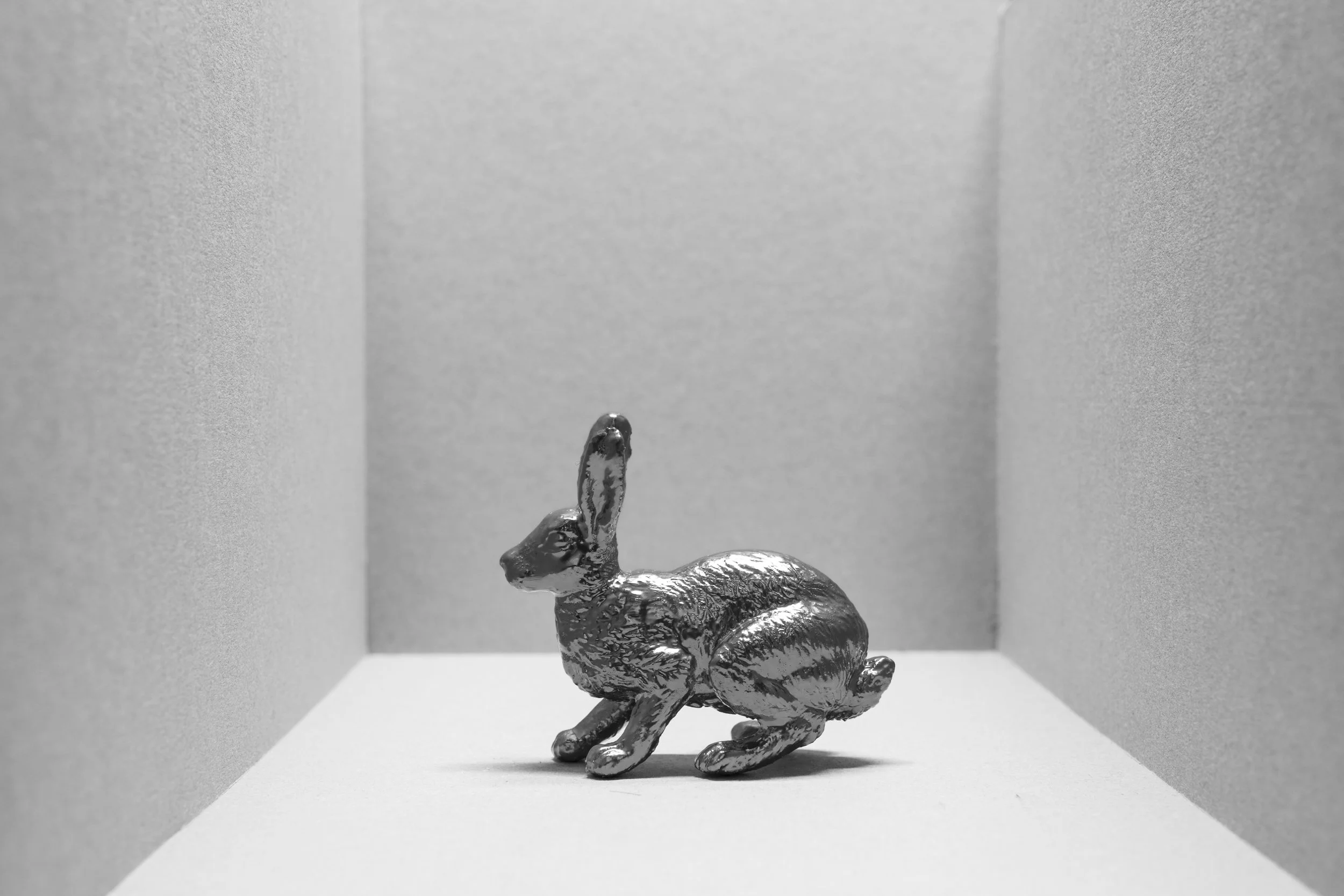 Hare006.jpg