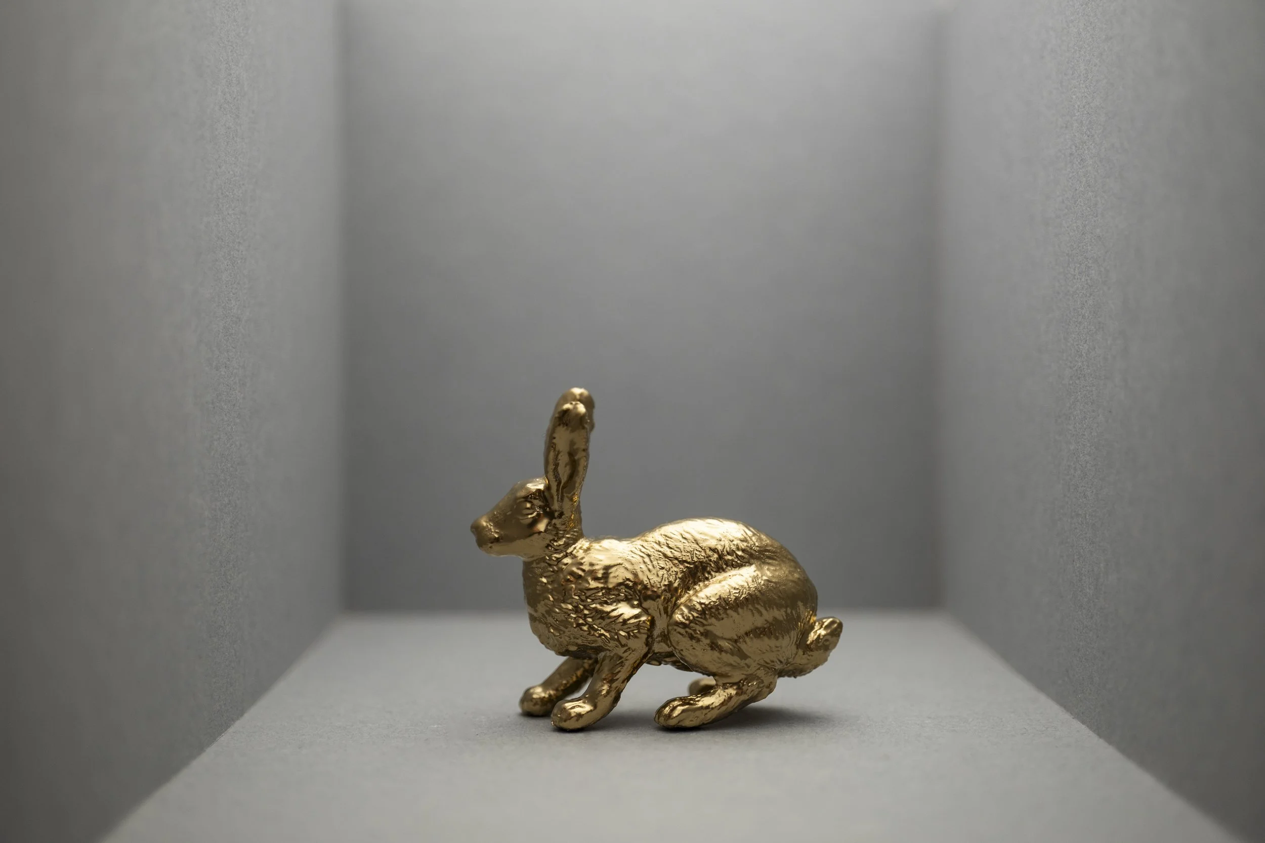 Hare007.jpg