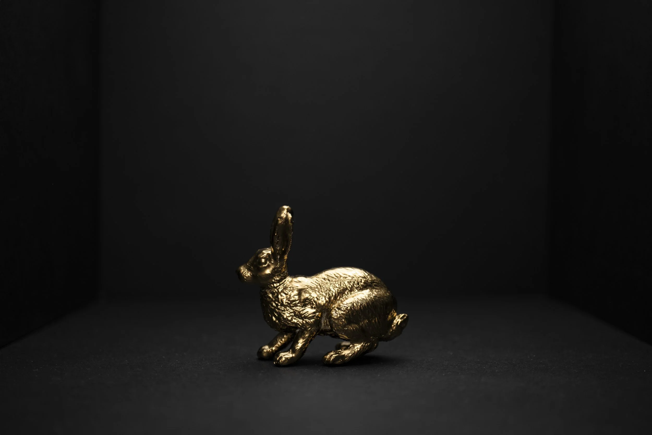 Hare008.jpg