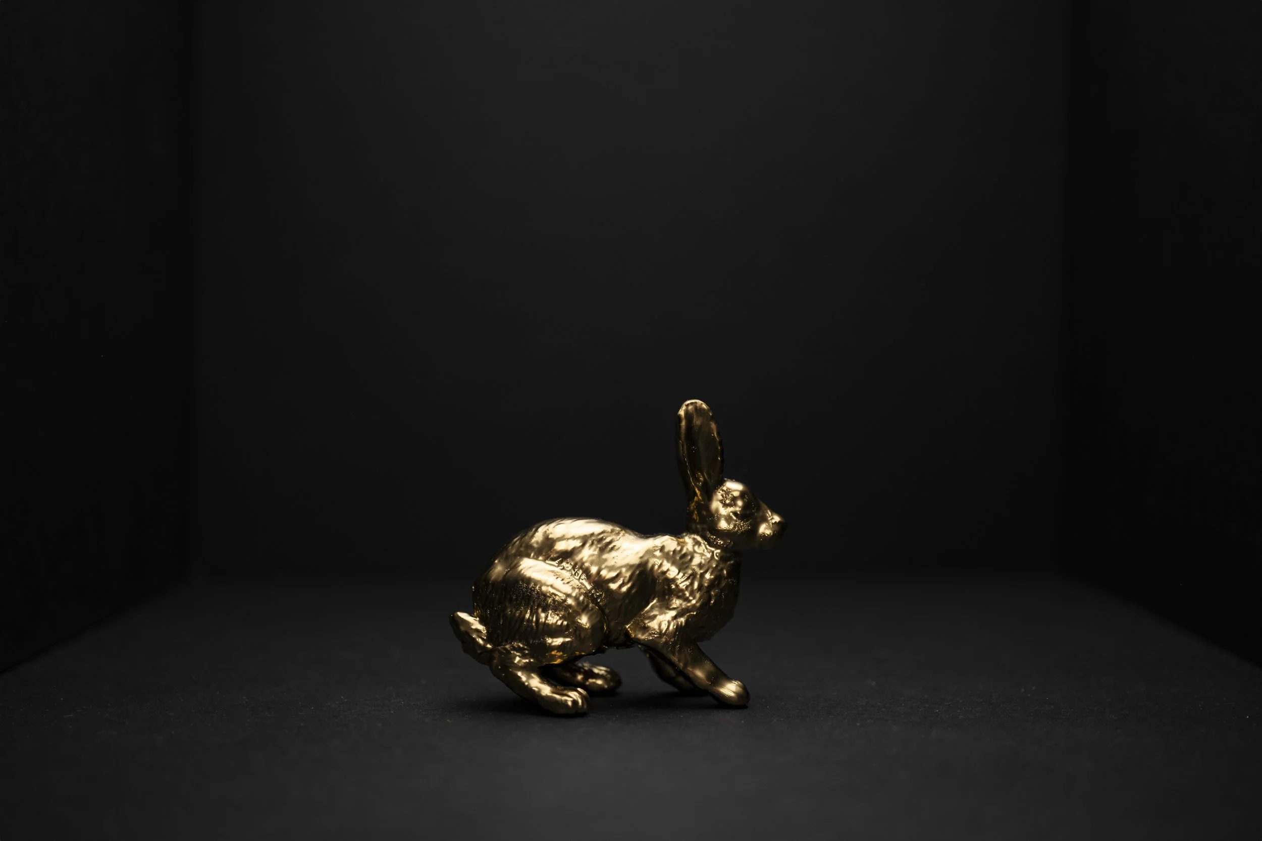 Hare009.jpg
