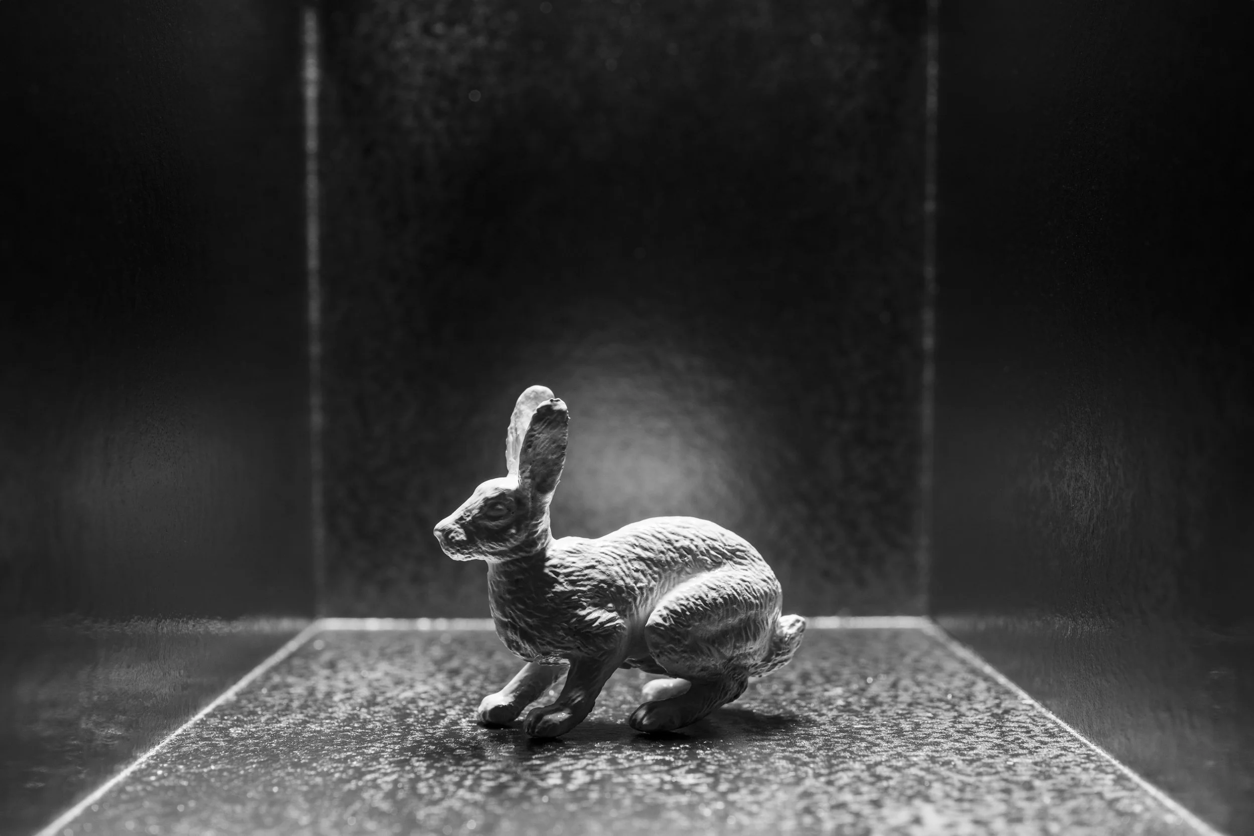 Hare010.jpg