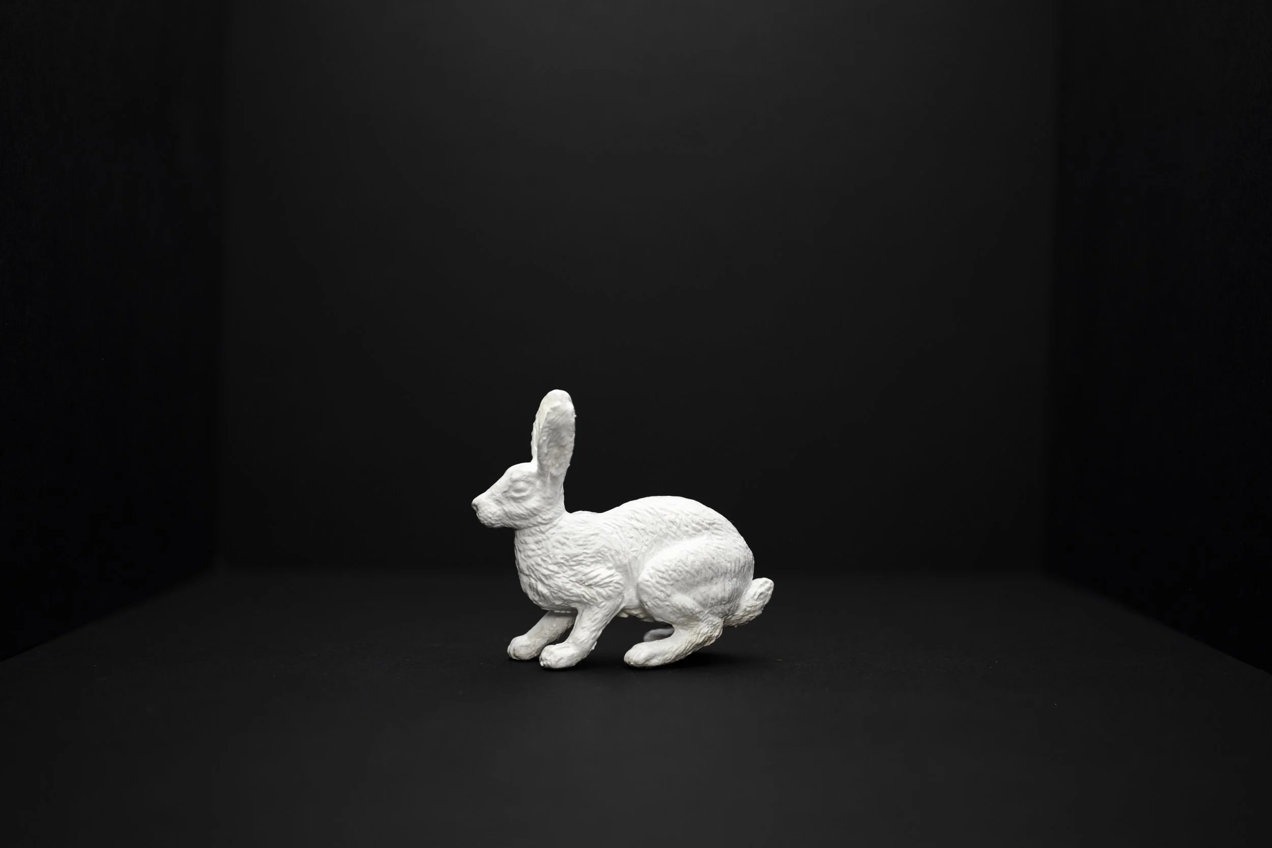 Hare012.jpg