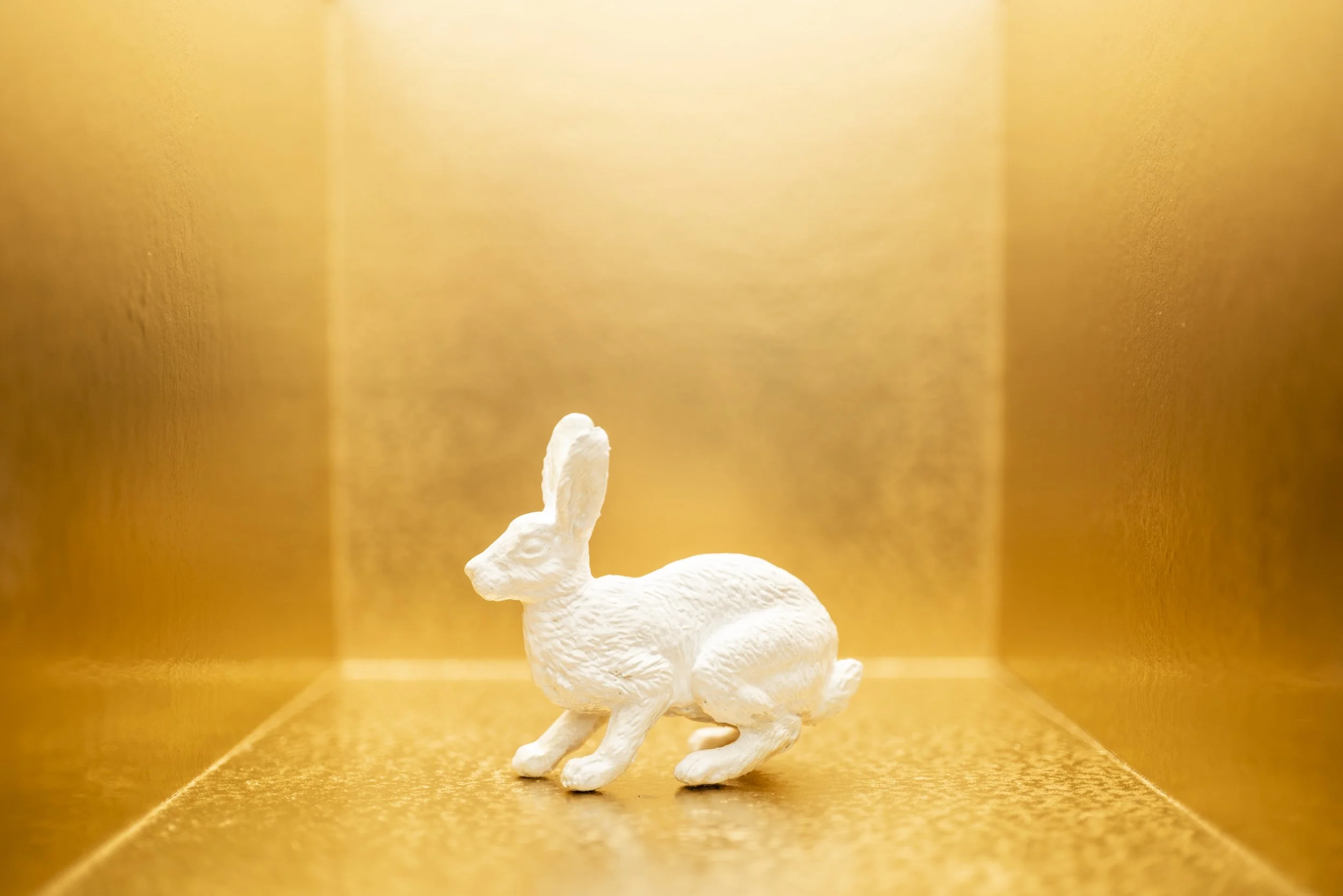 Hare013.jpg