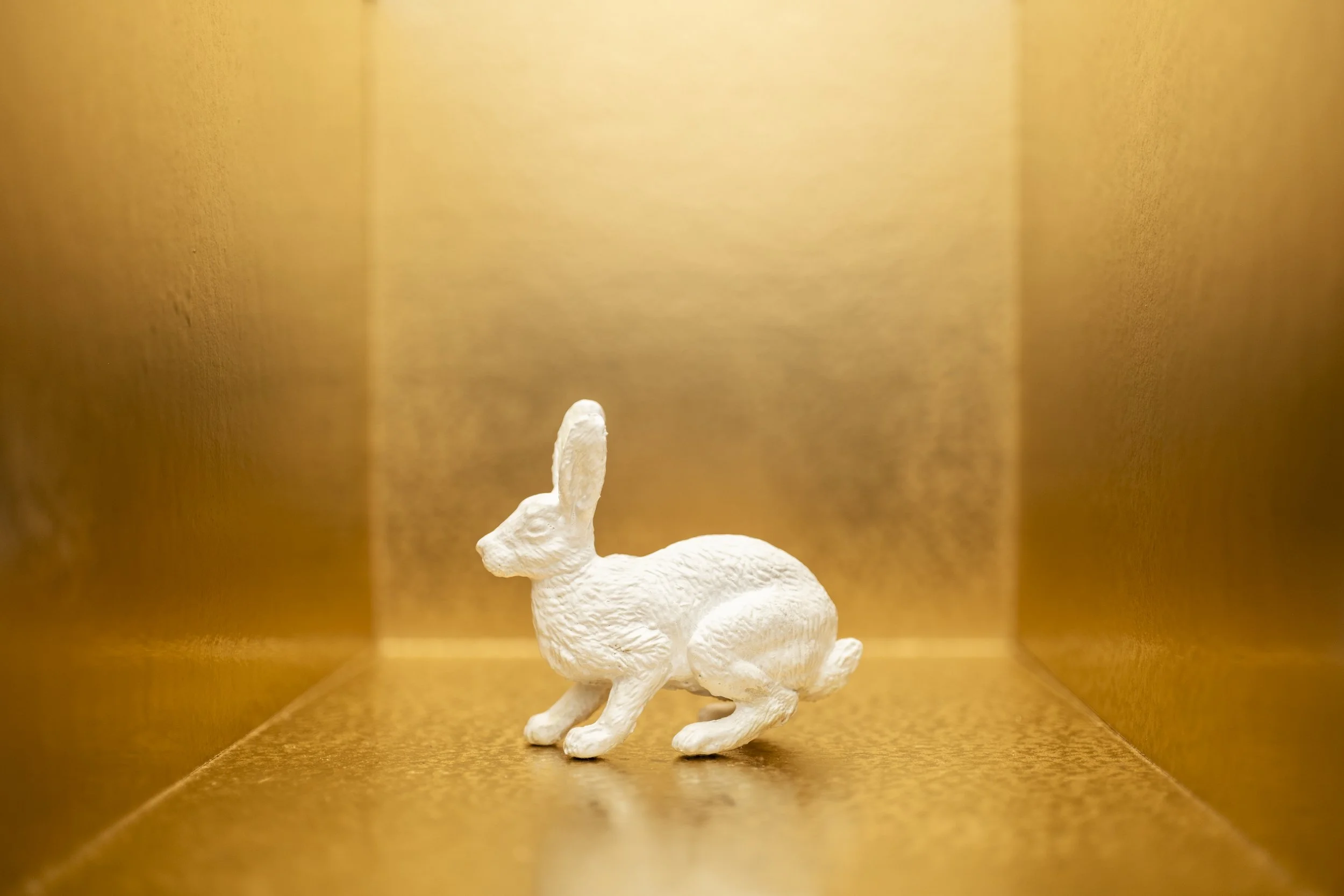 Hare014.jpg