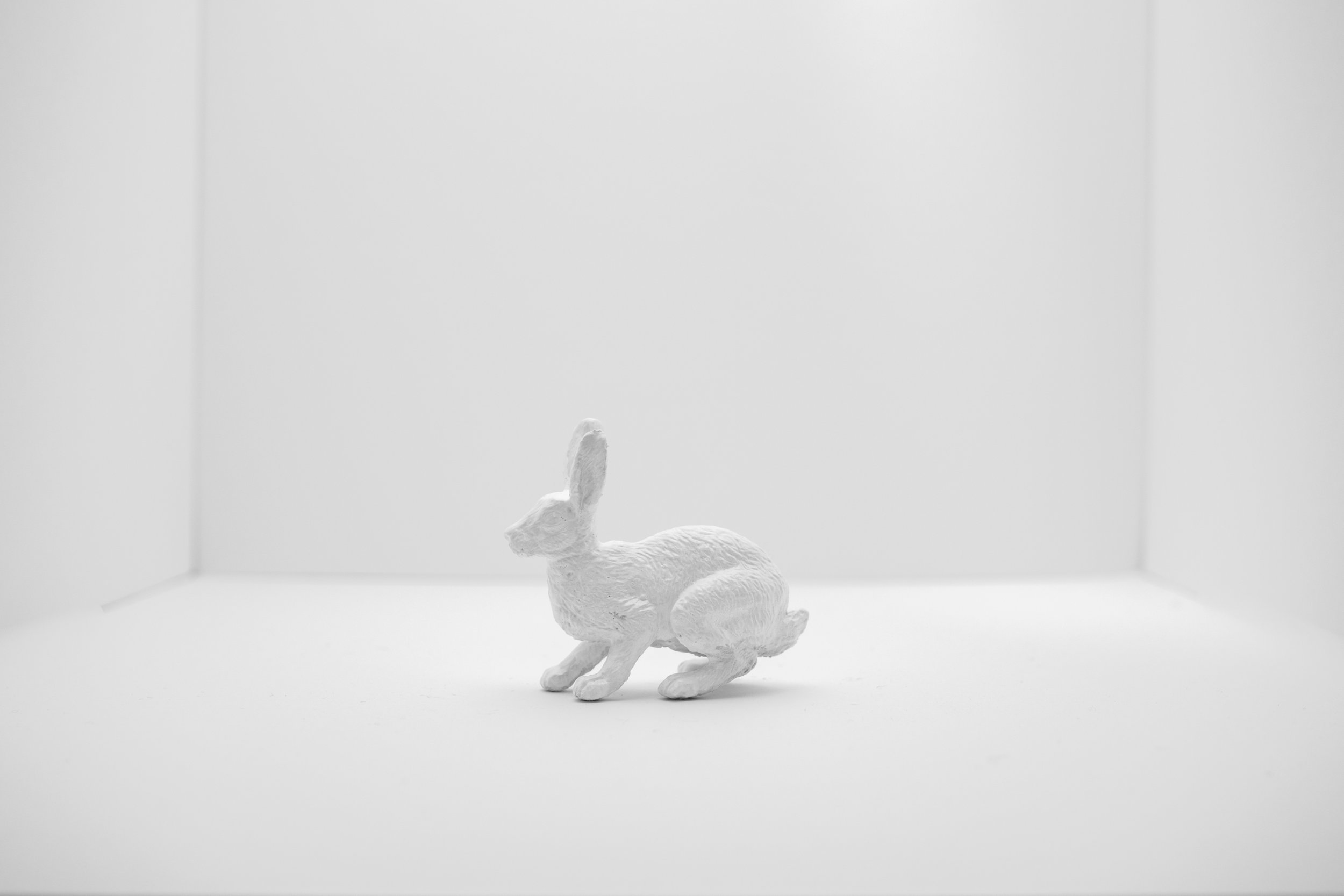 Hare015.jpg