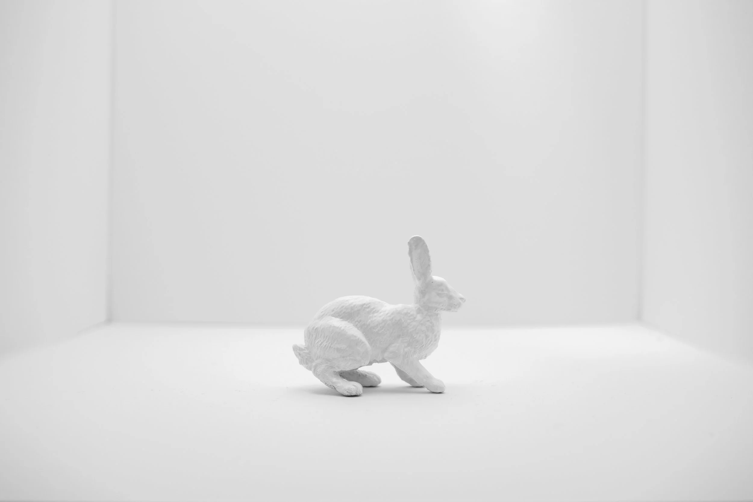 Hare016.jpg