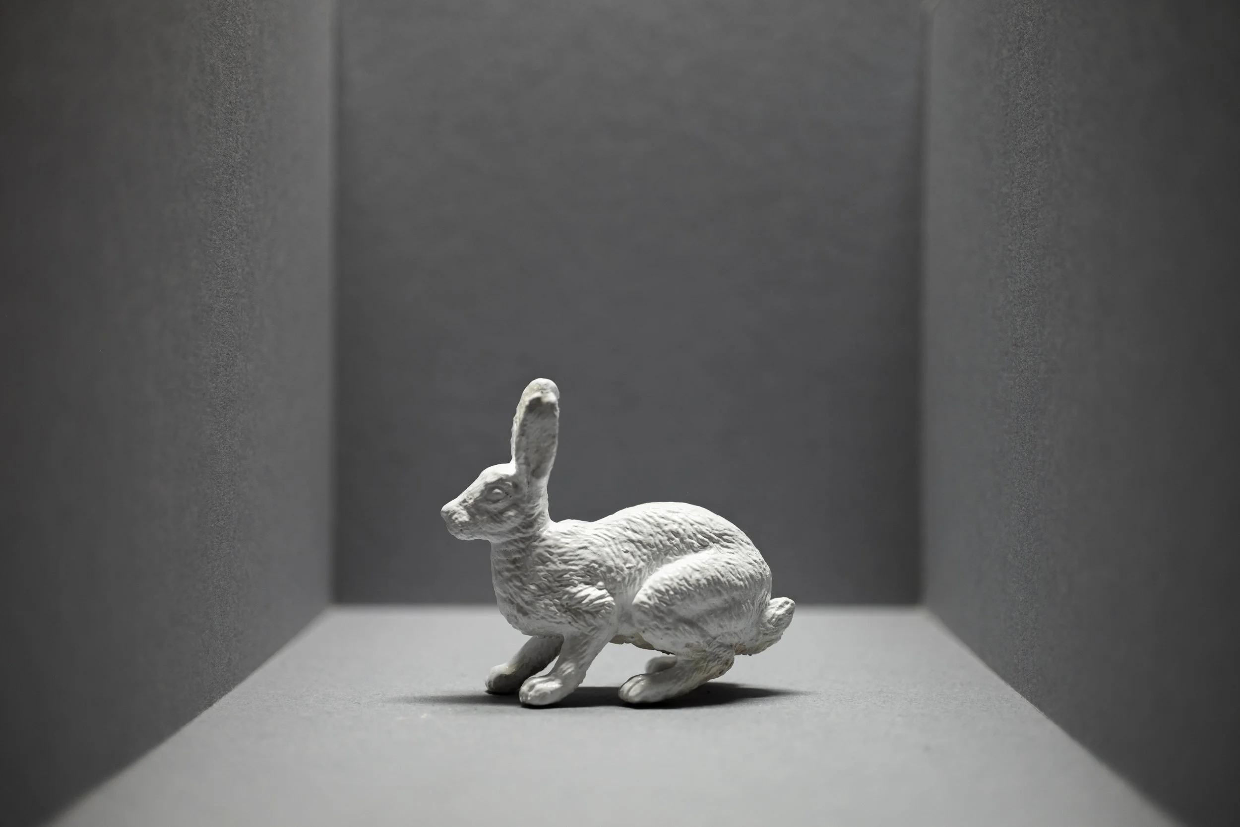 Hare017.jpg