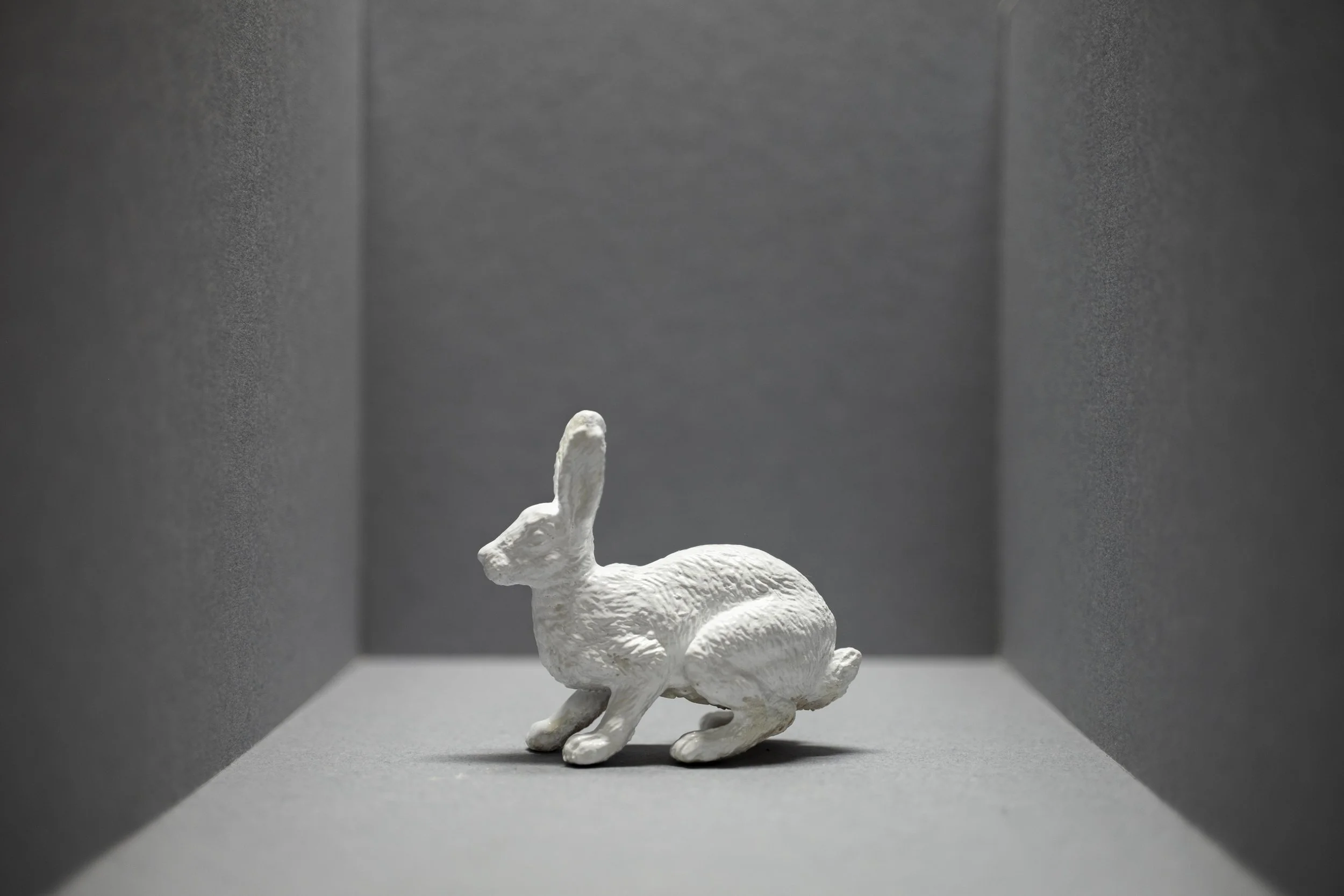 Hare018.jpg