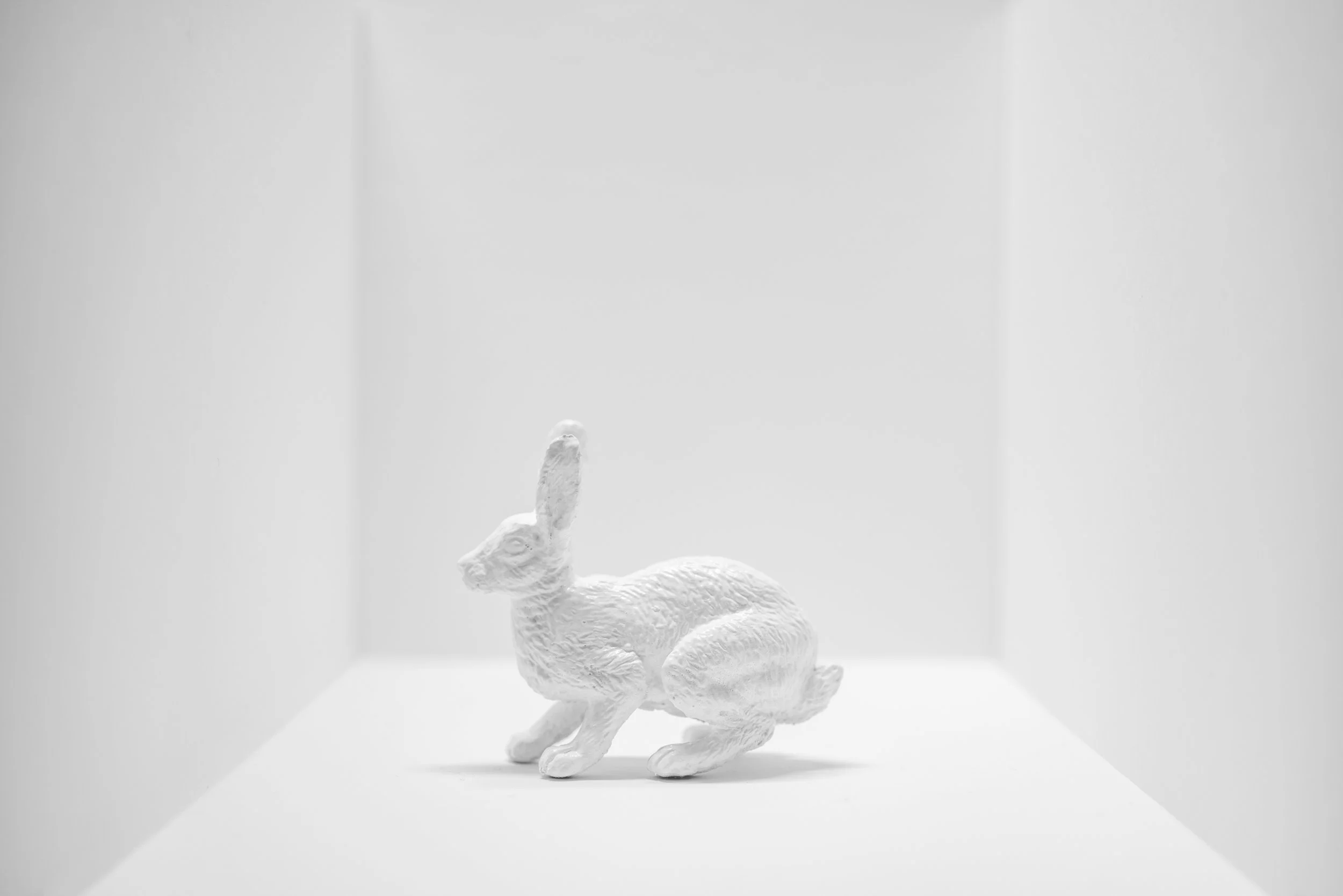 Hare020.jpg