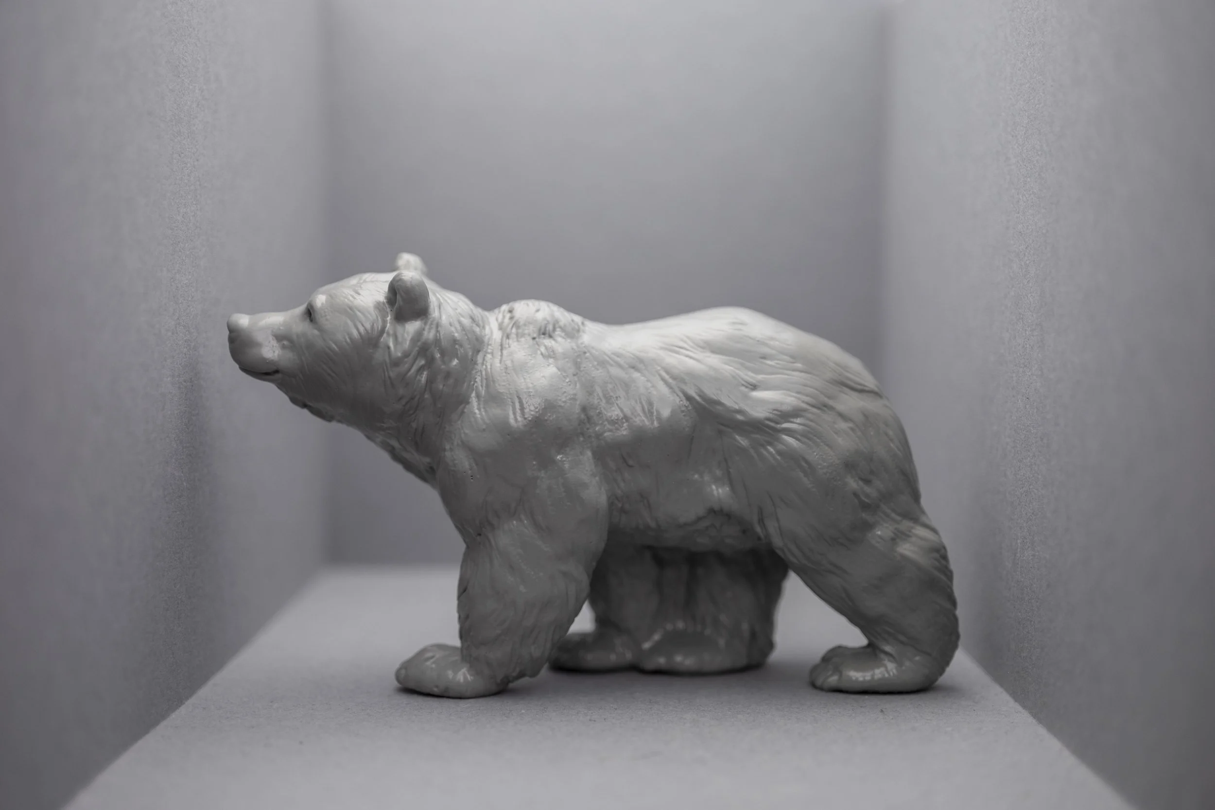 Bear001.jpg