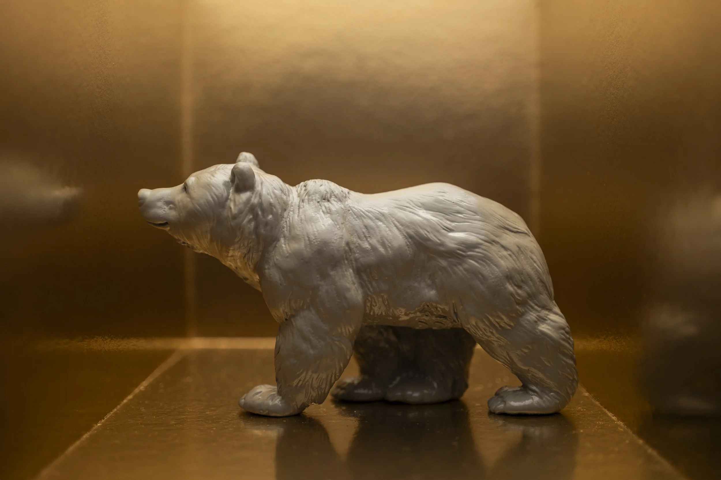 Bear002.jpg