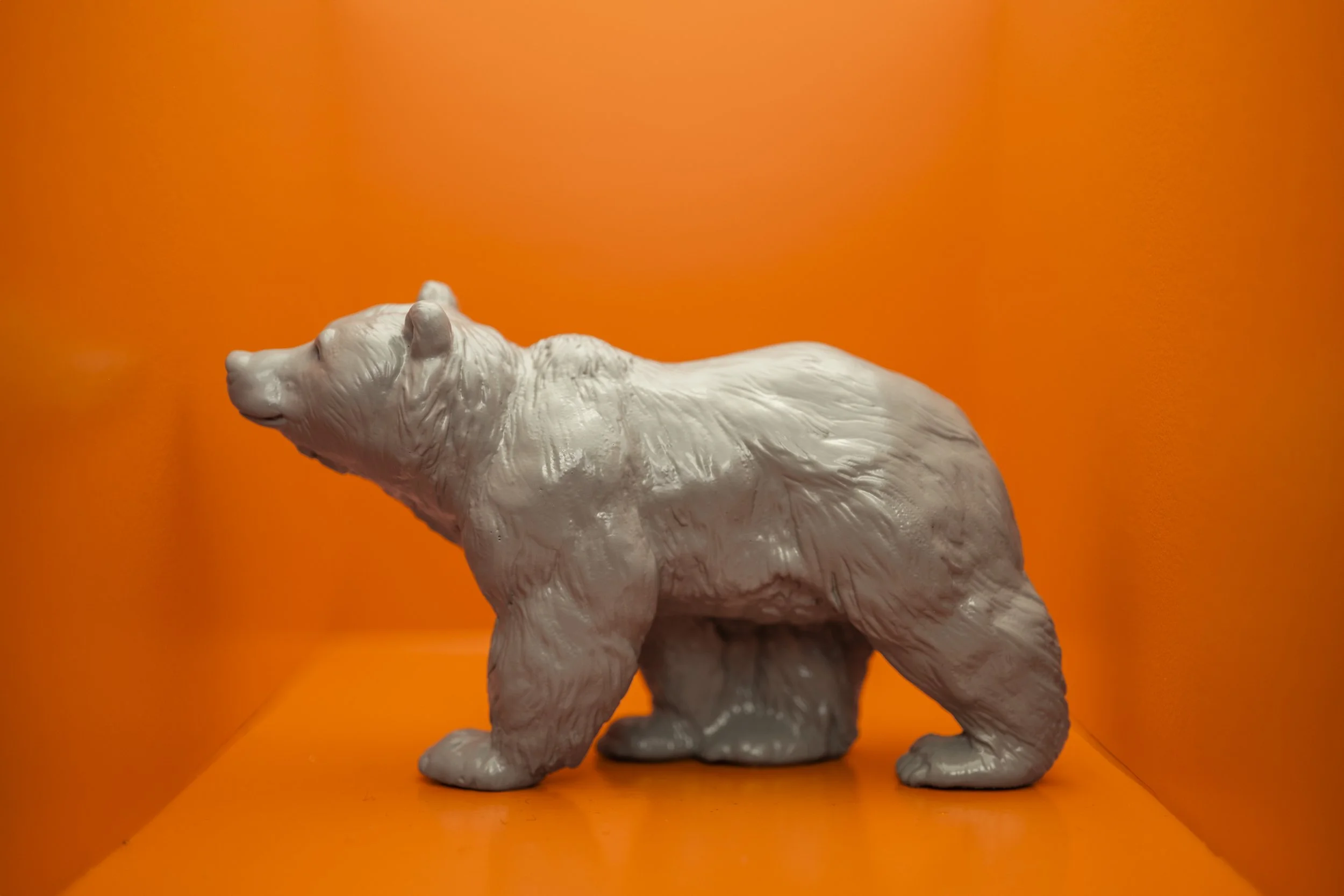 Bear003.jpg