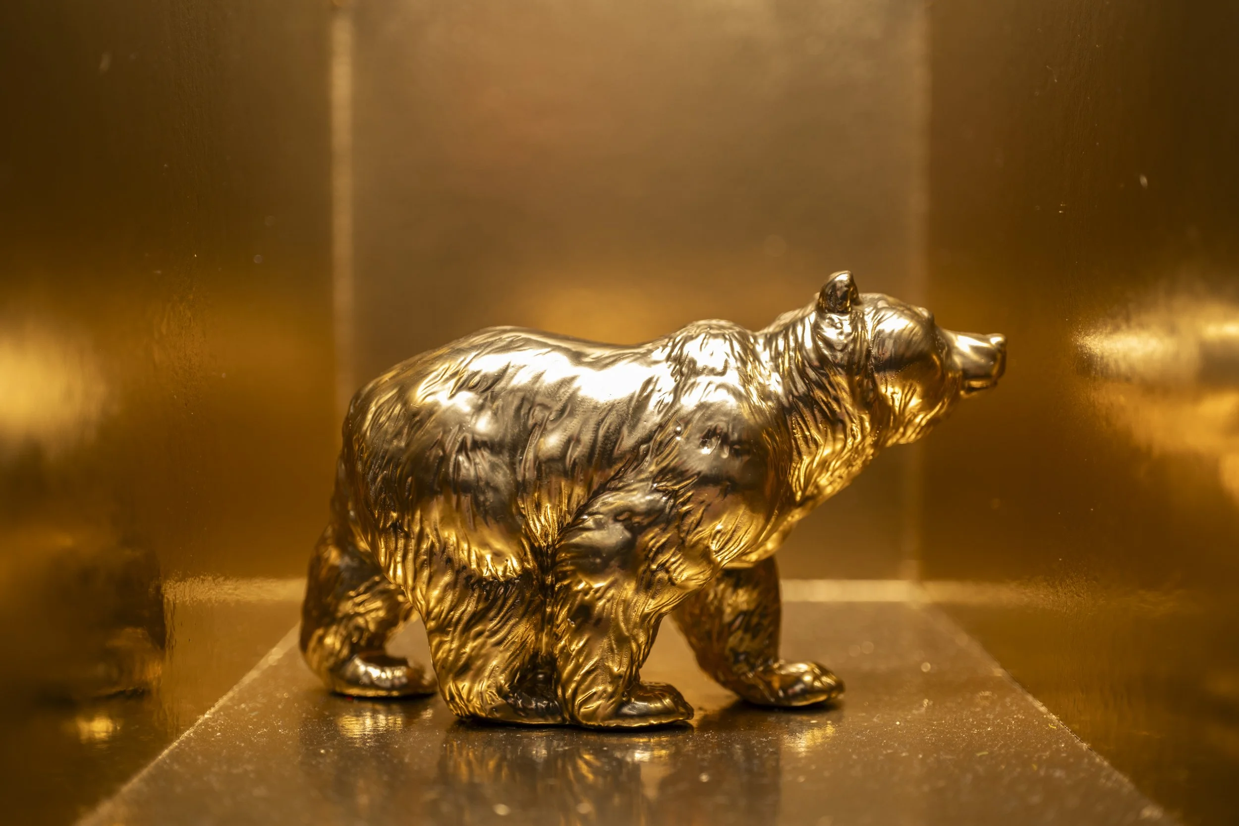 Bear004.jpg