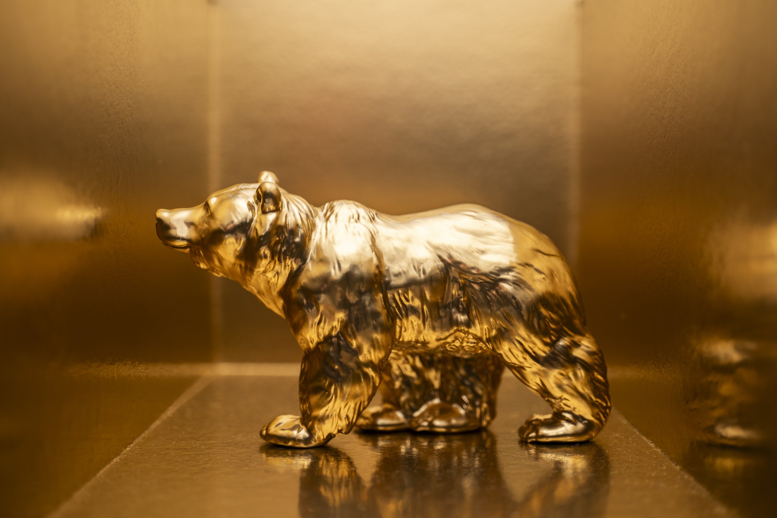 Bear005.jpg