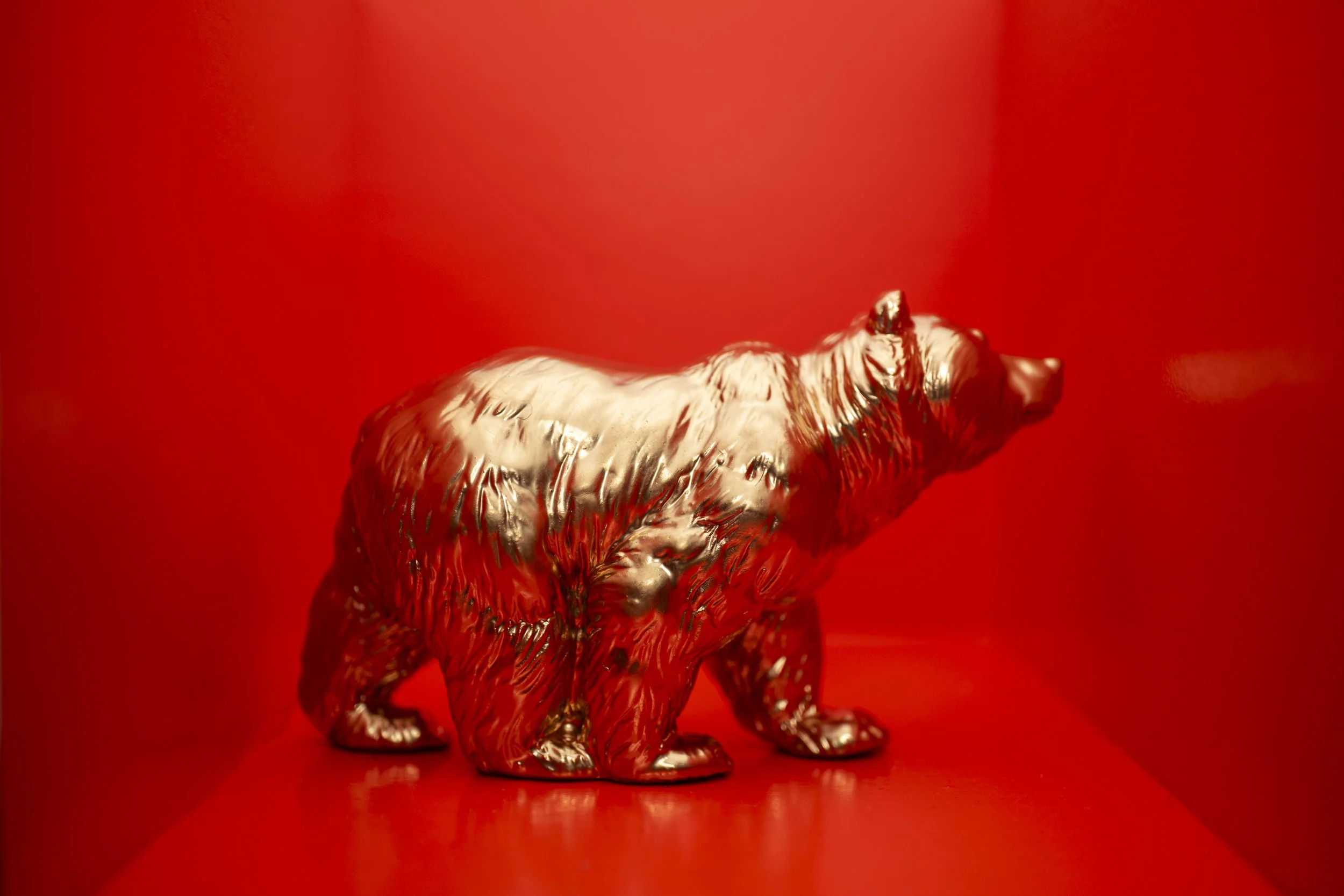Bear006.jpg