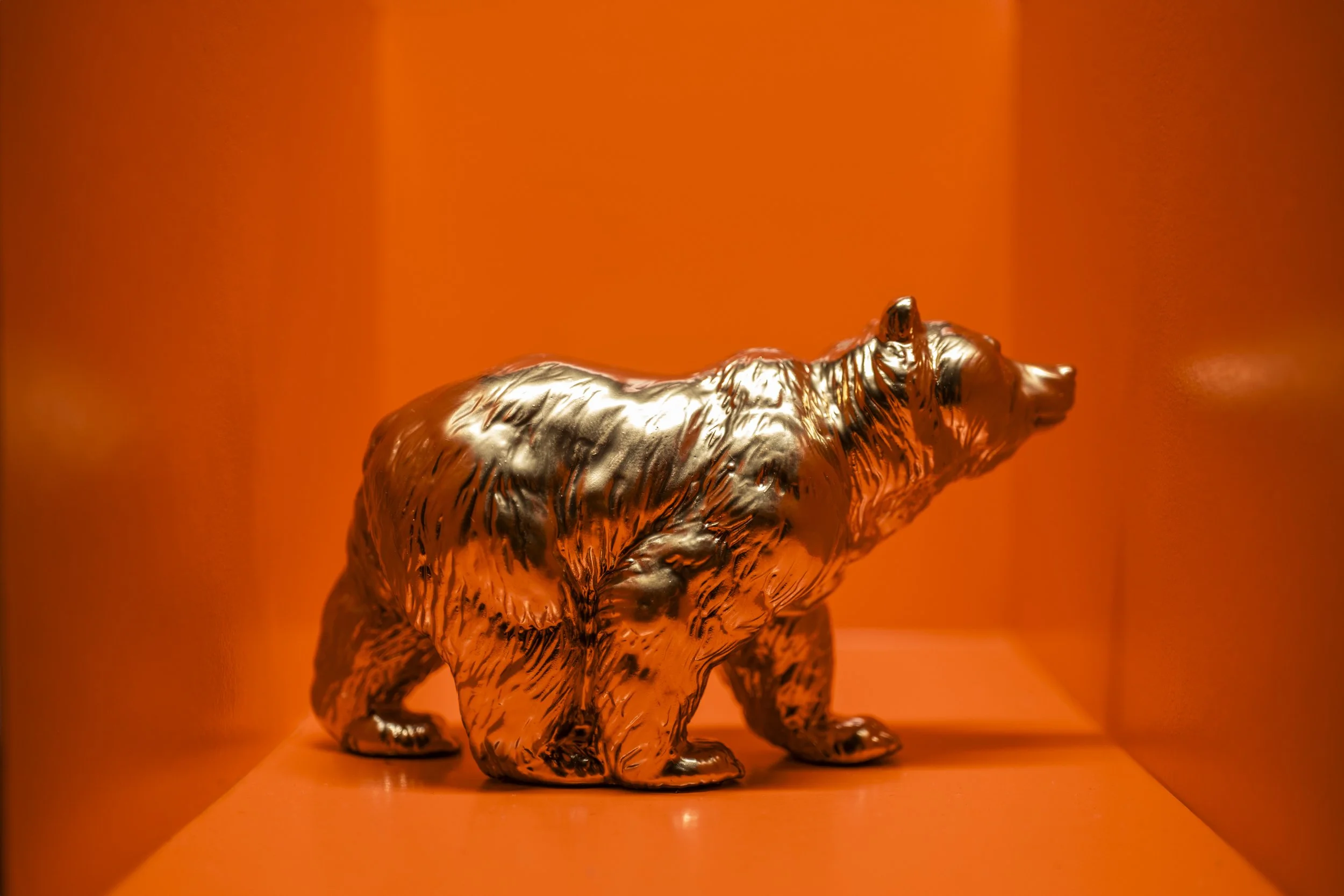 Bear007.jpg