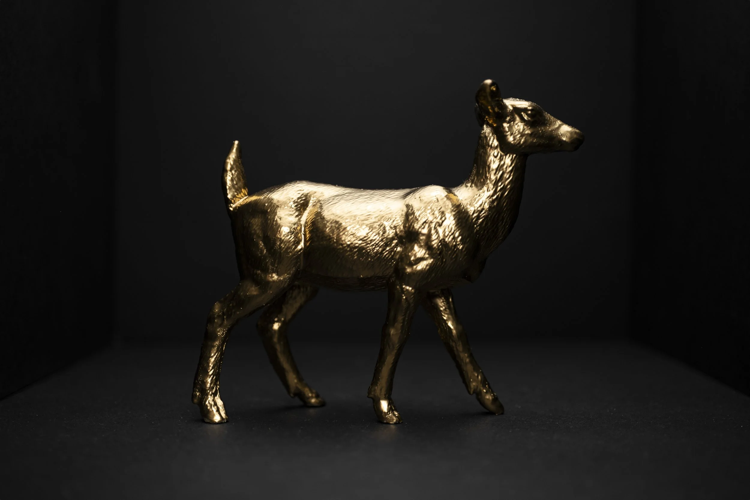 Deer001.jpg