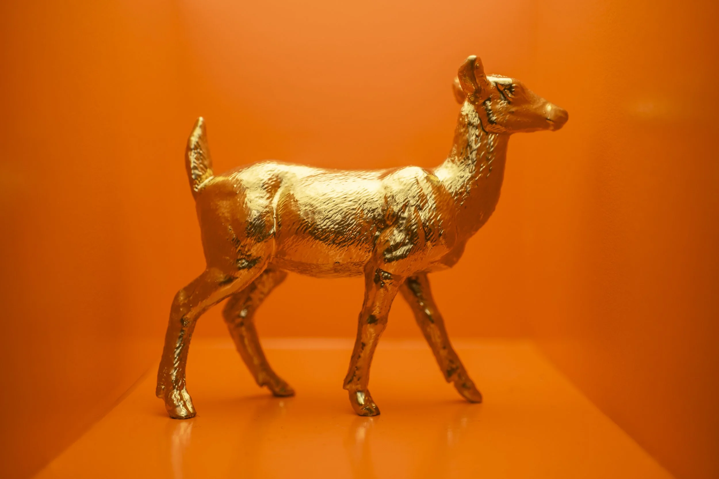 Deer002.jpg