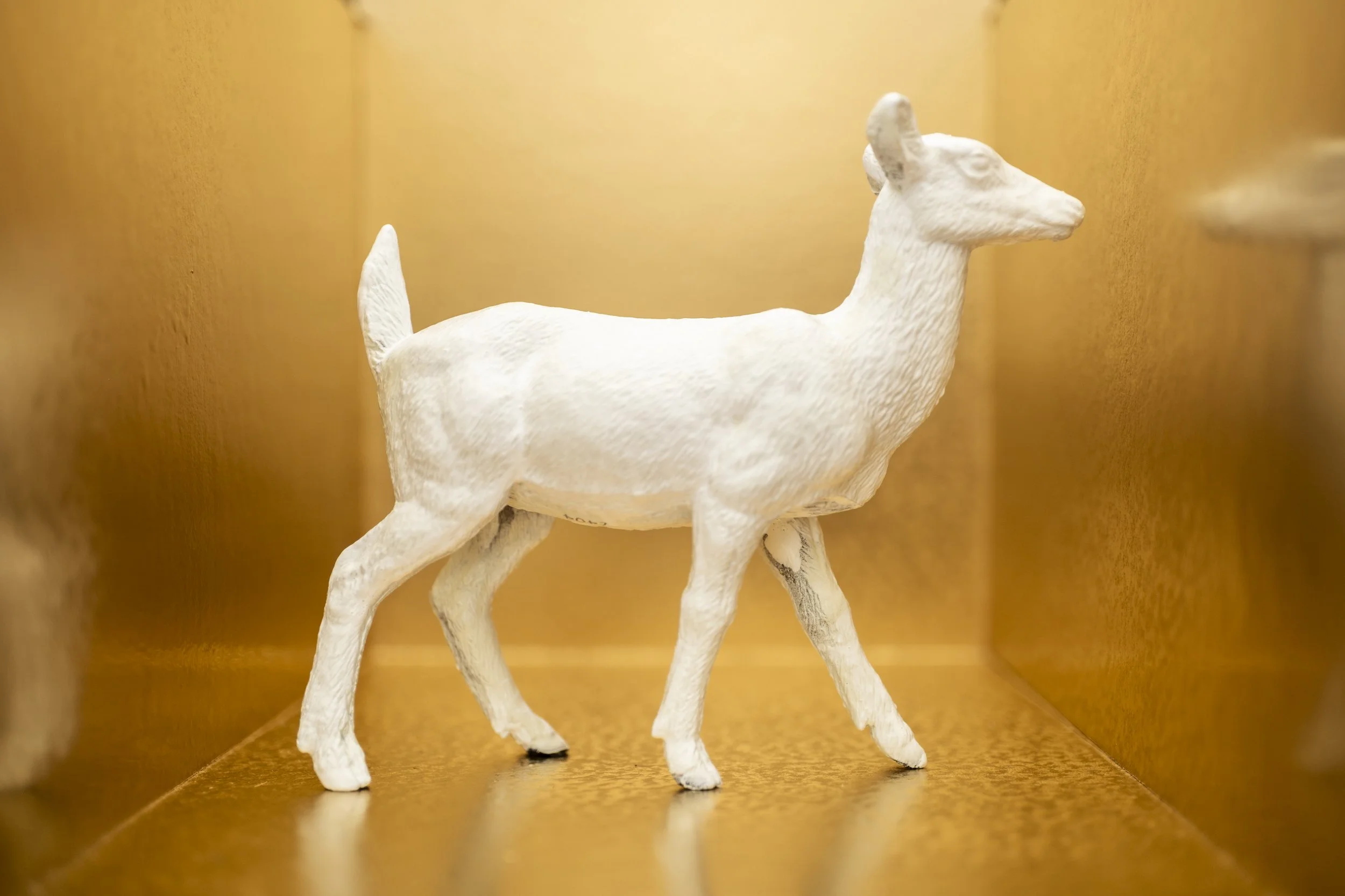 Deer003.jpg