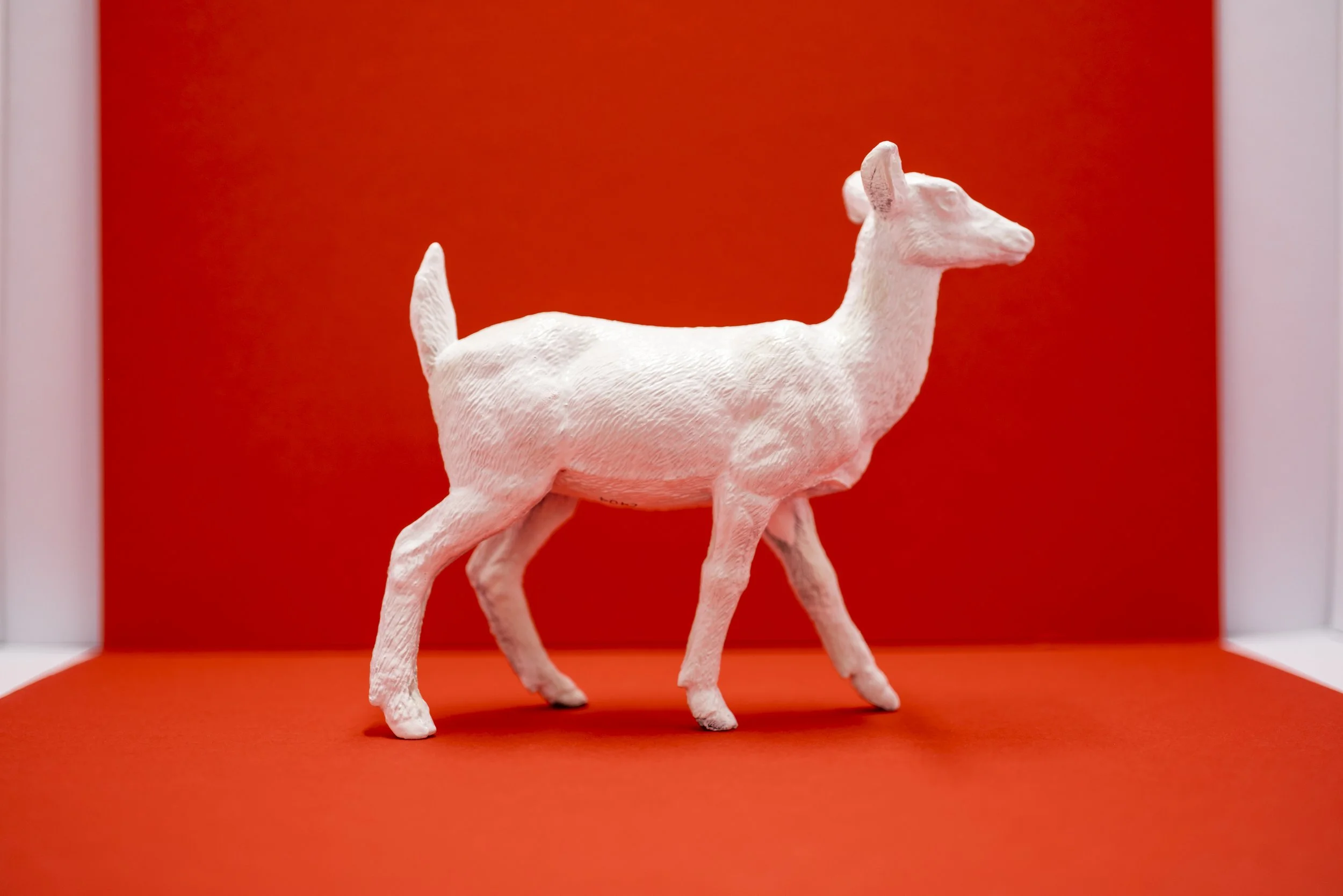 Deer010.jpg