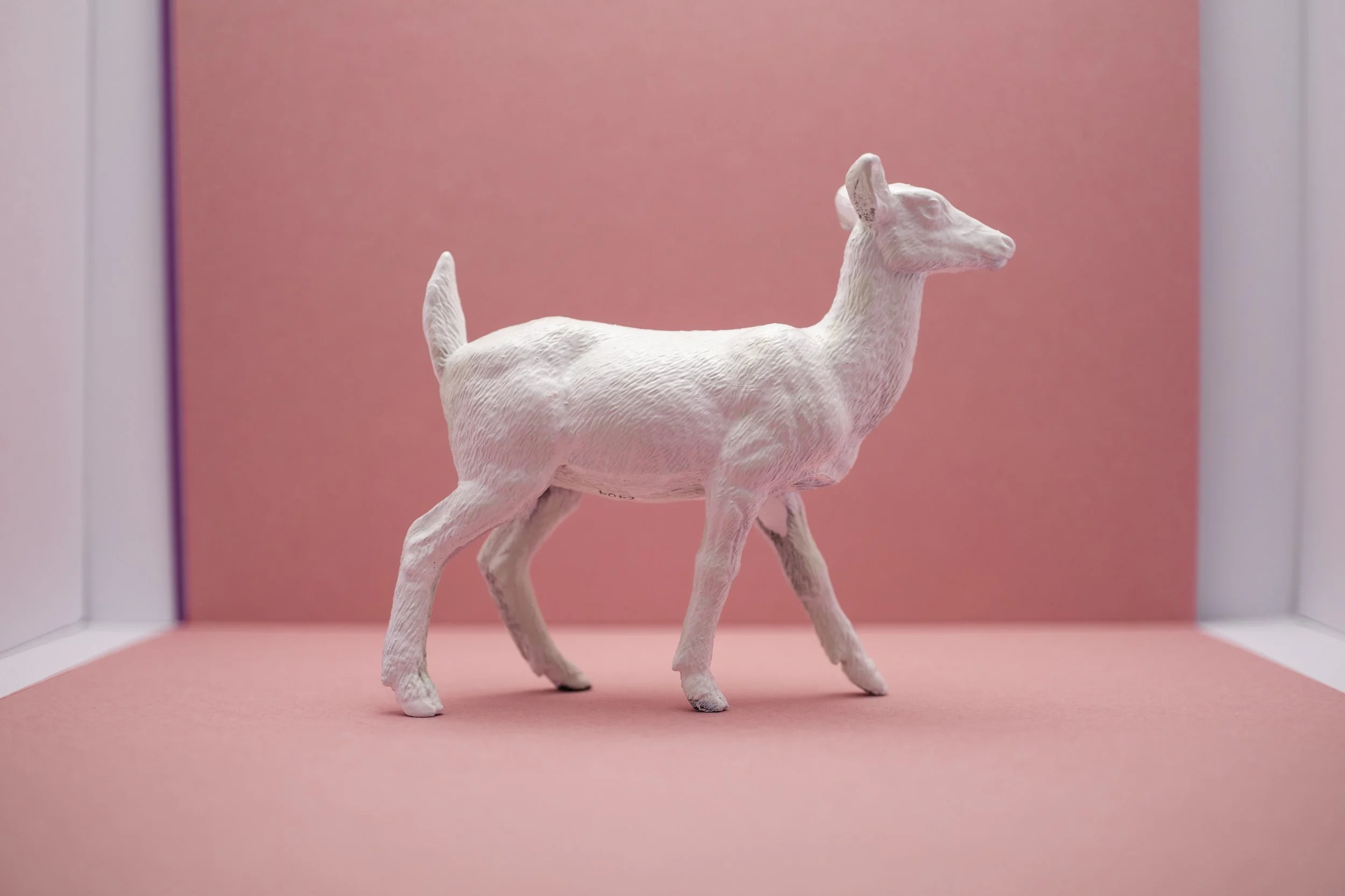 Deer012.jpg