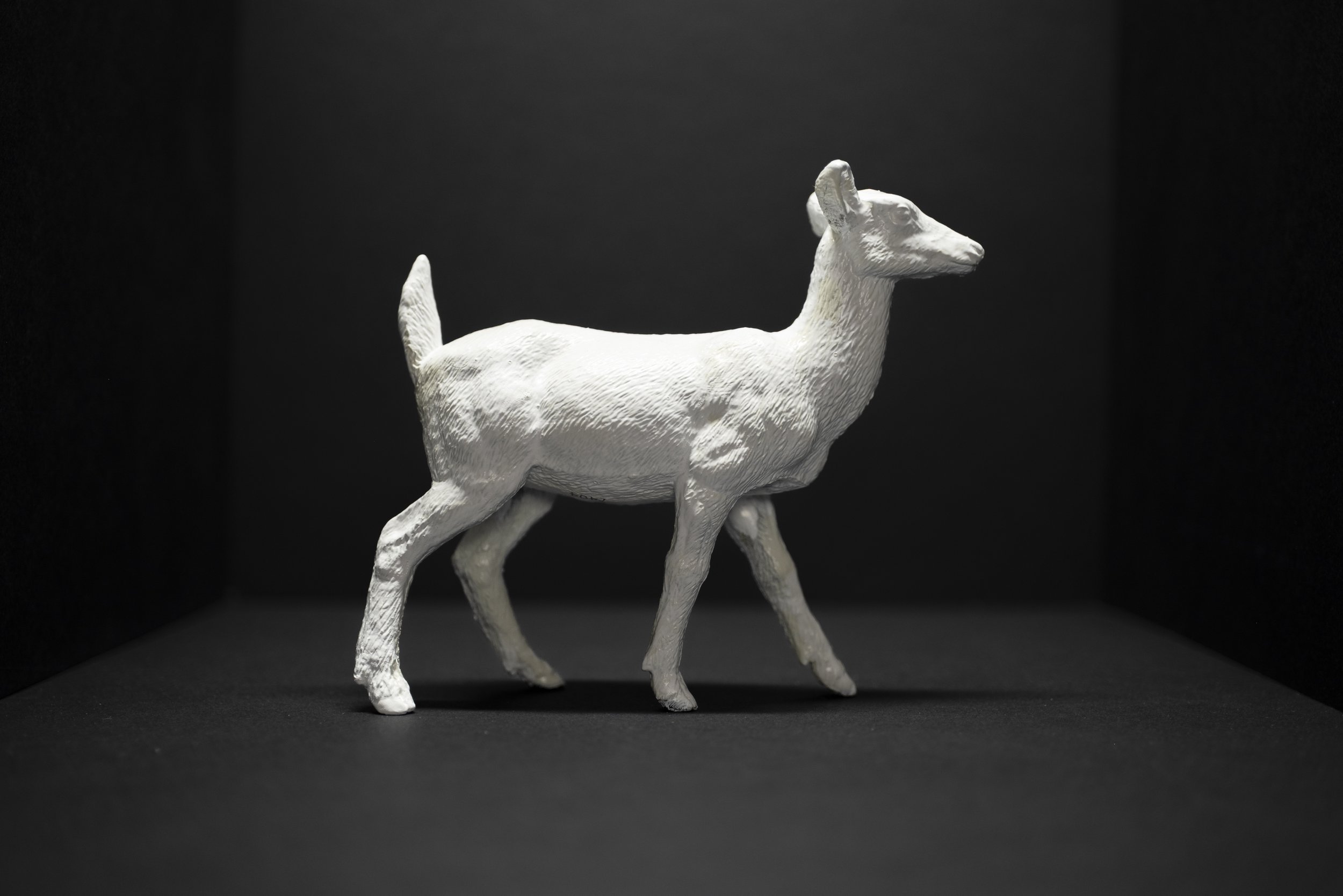 Deer014.jpg