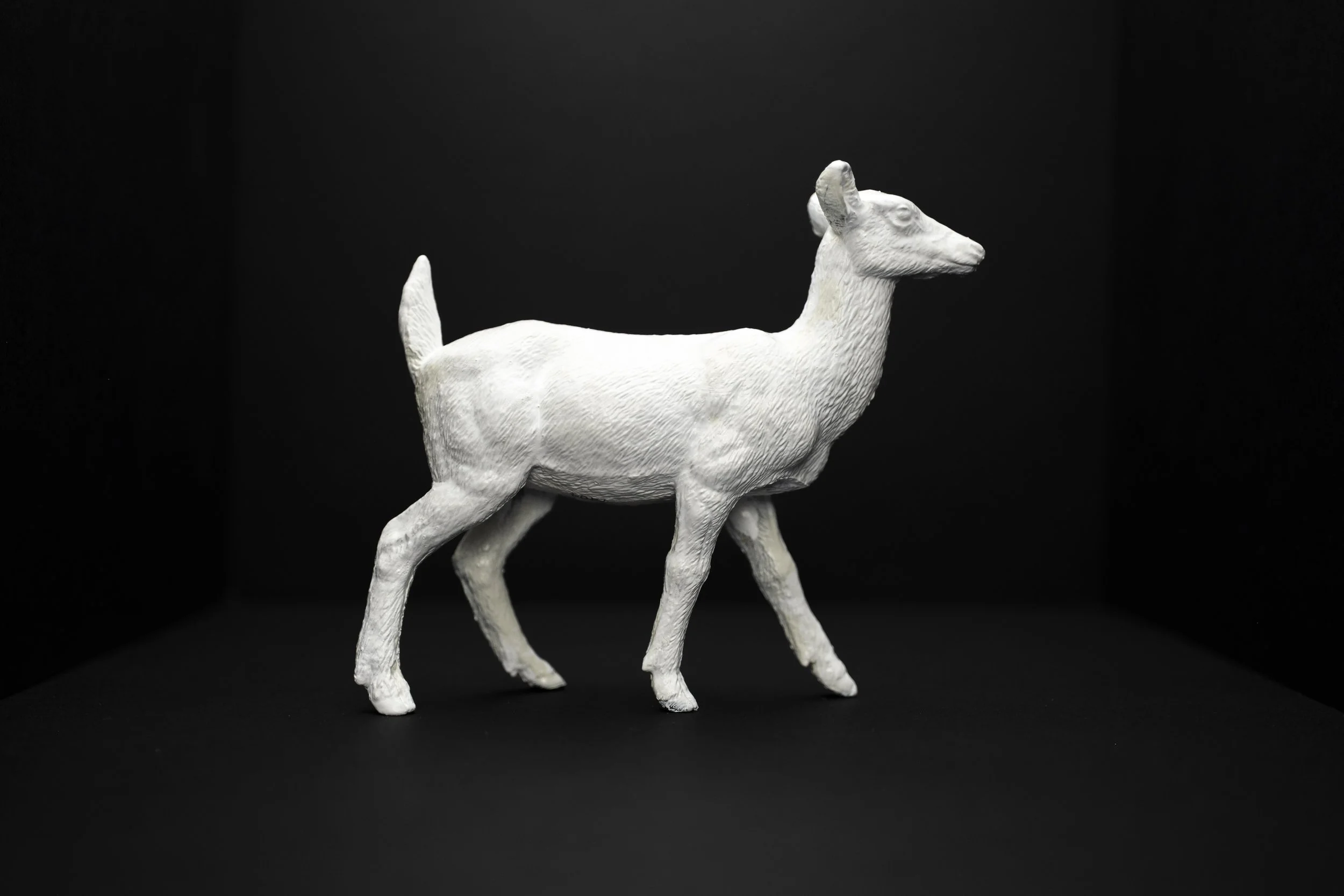 Deer015.jpg