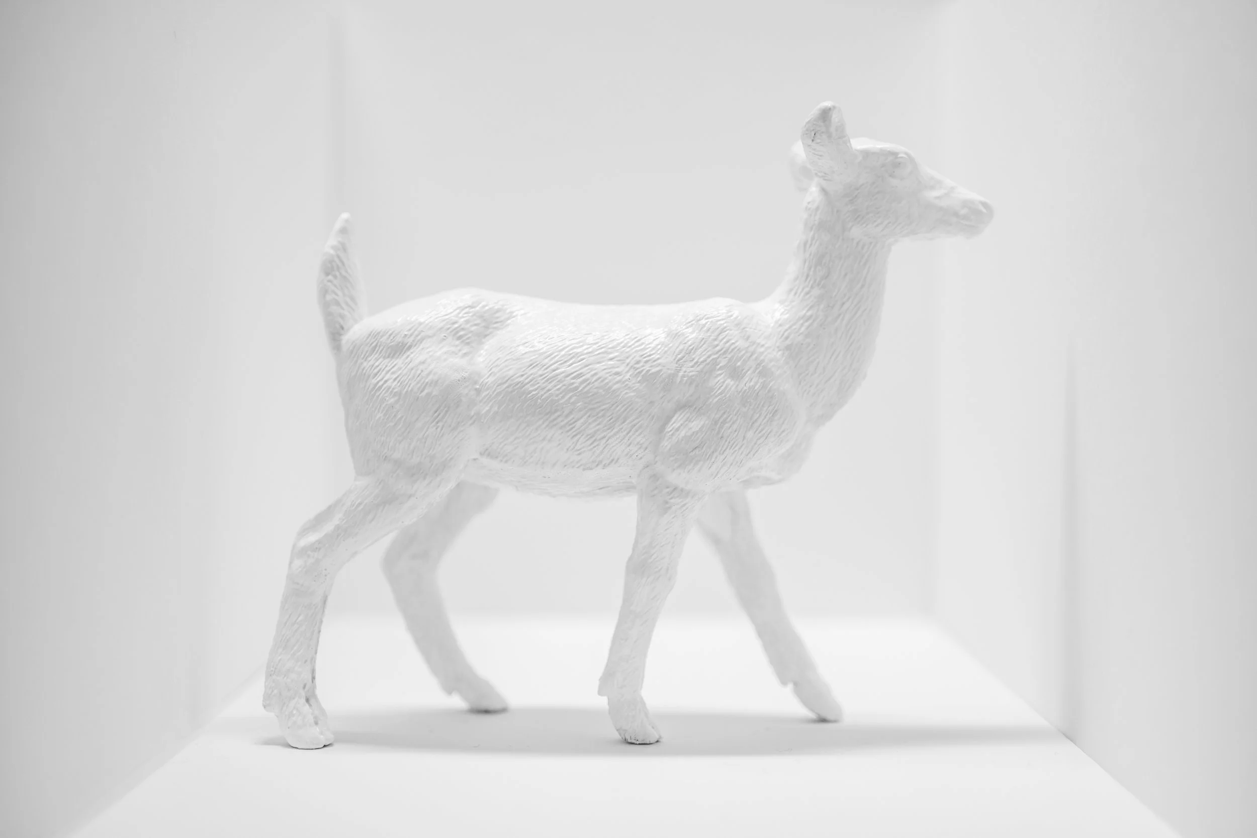 Deer017.jpg