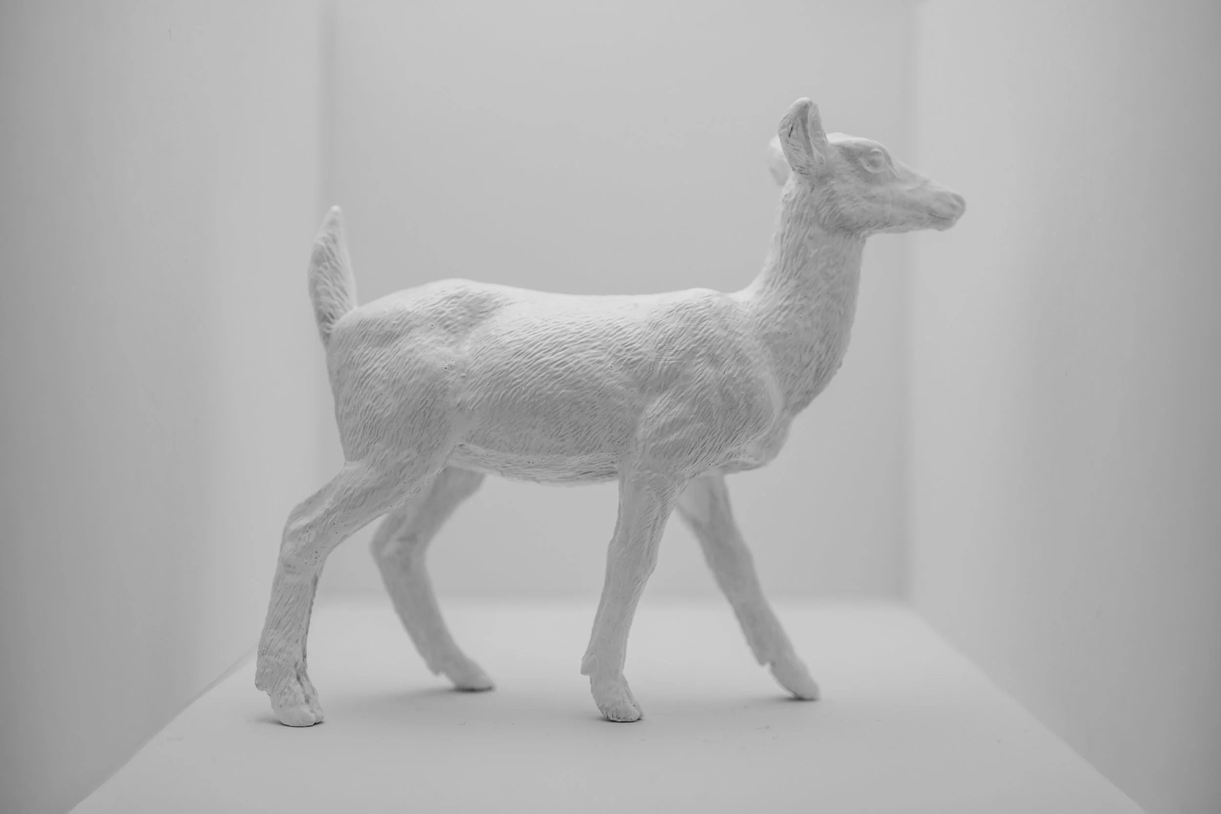 Deer018.jpg
