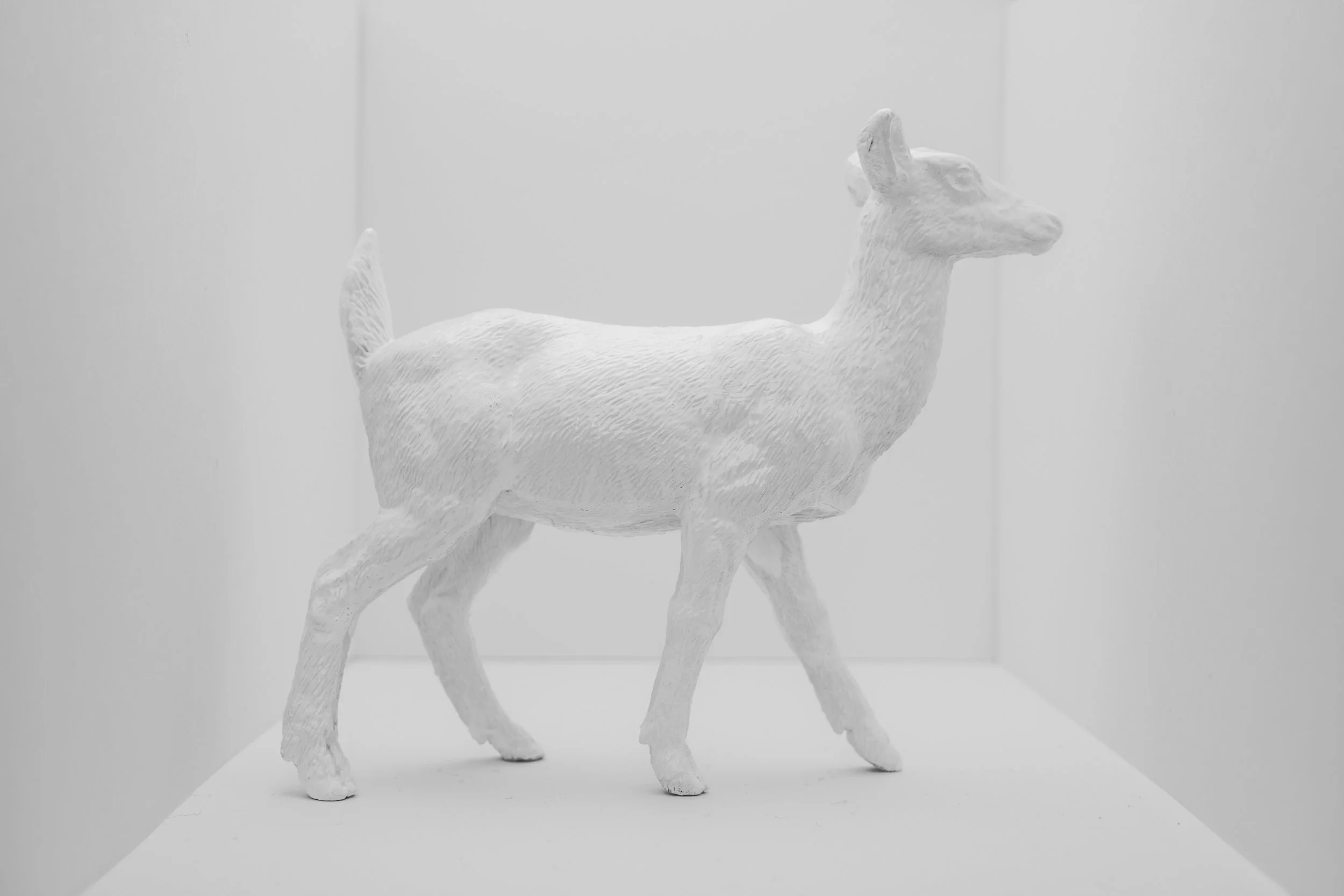 Deer019.jpg
