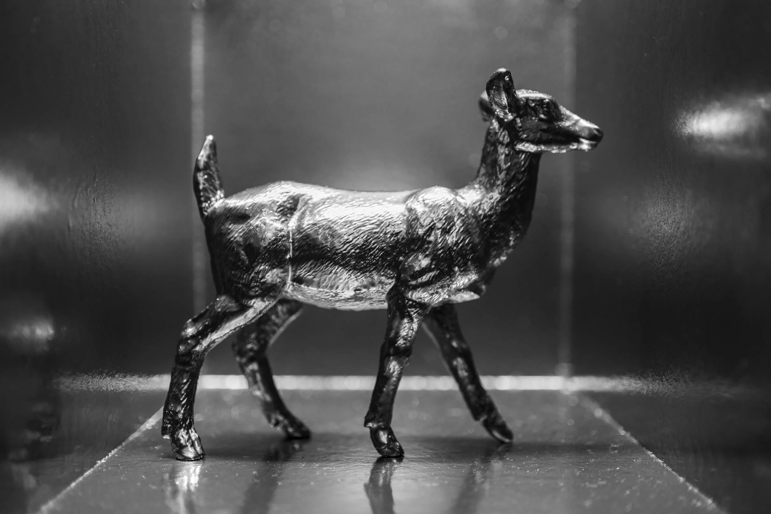 Deer020.jpg