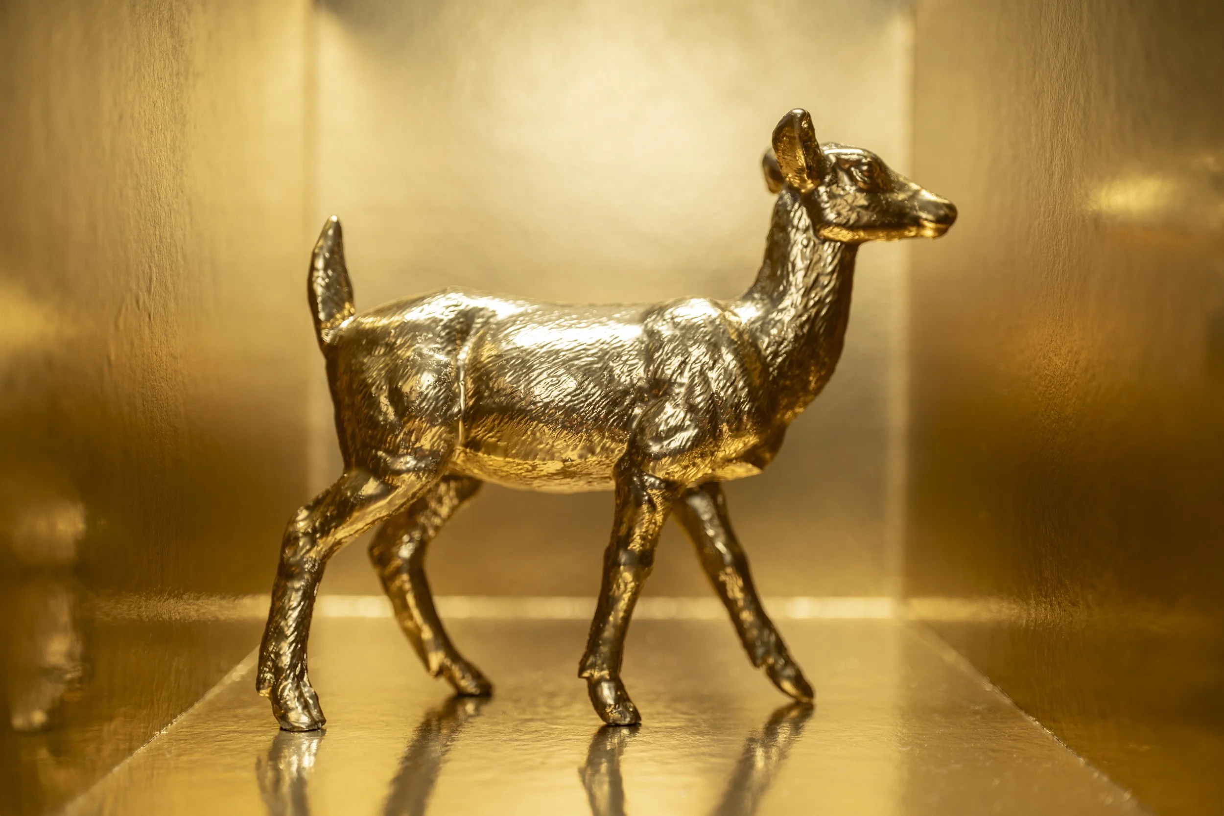 Deer021.jpg