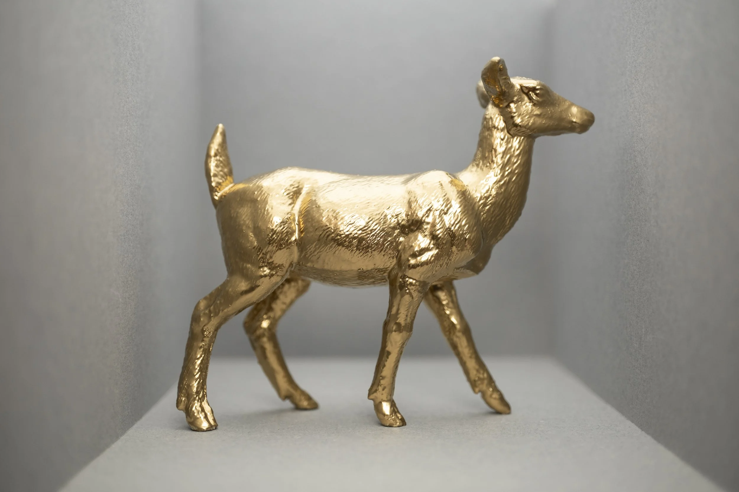 Deer022.jpg