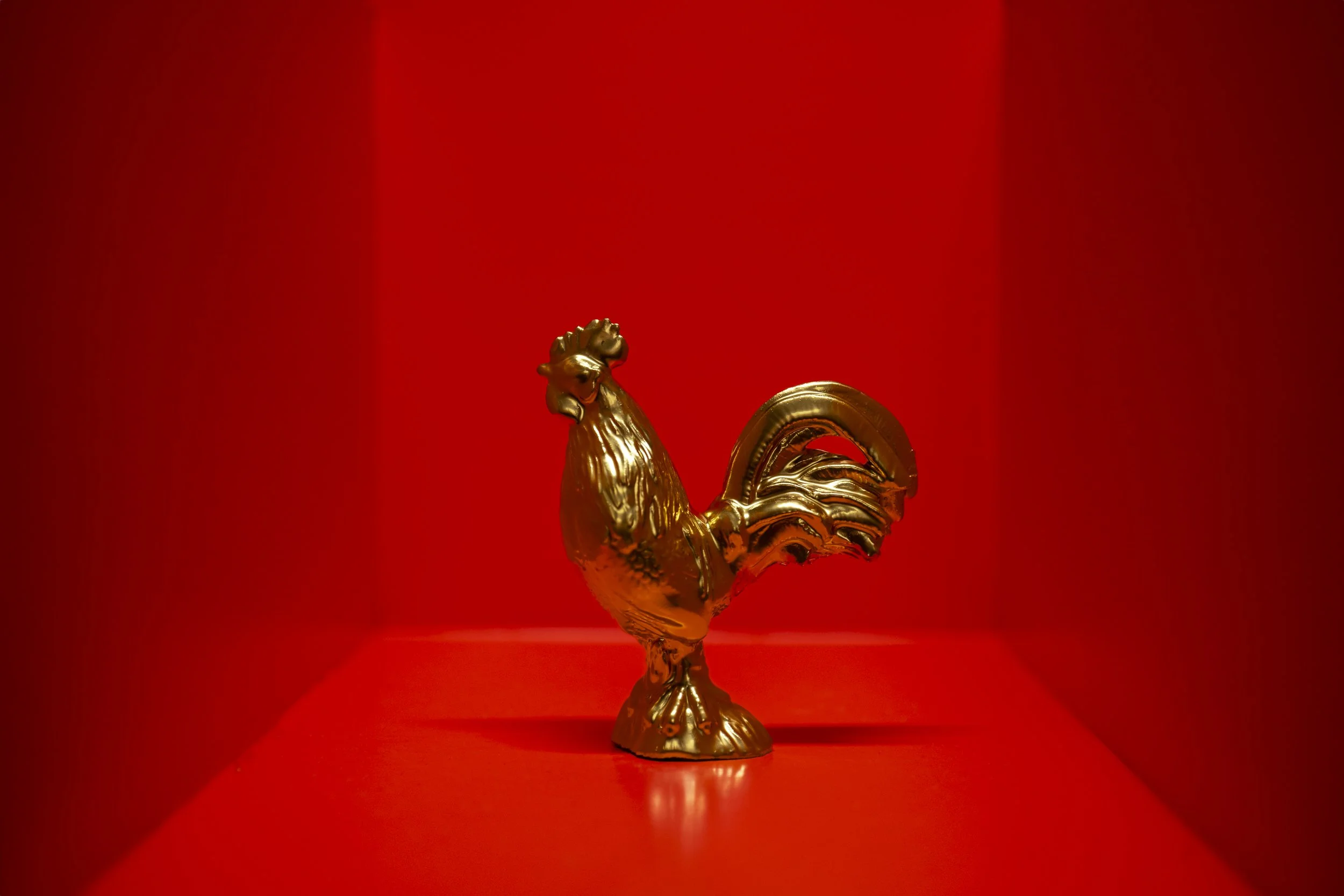 Cock001.jpg