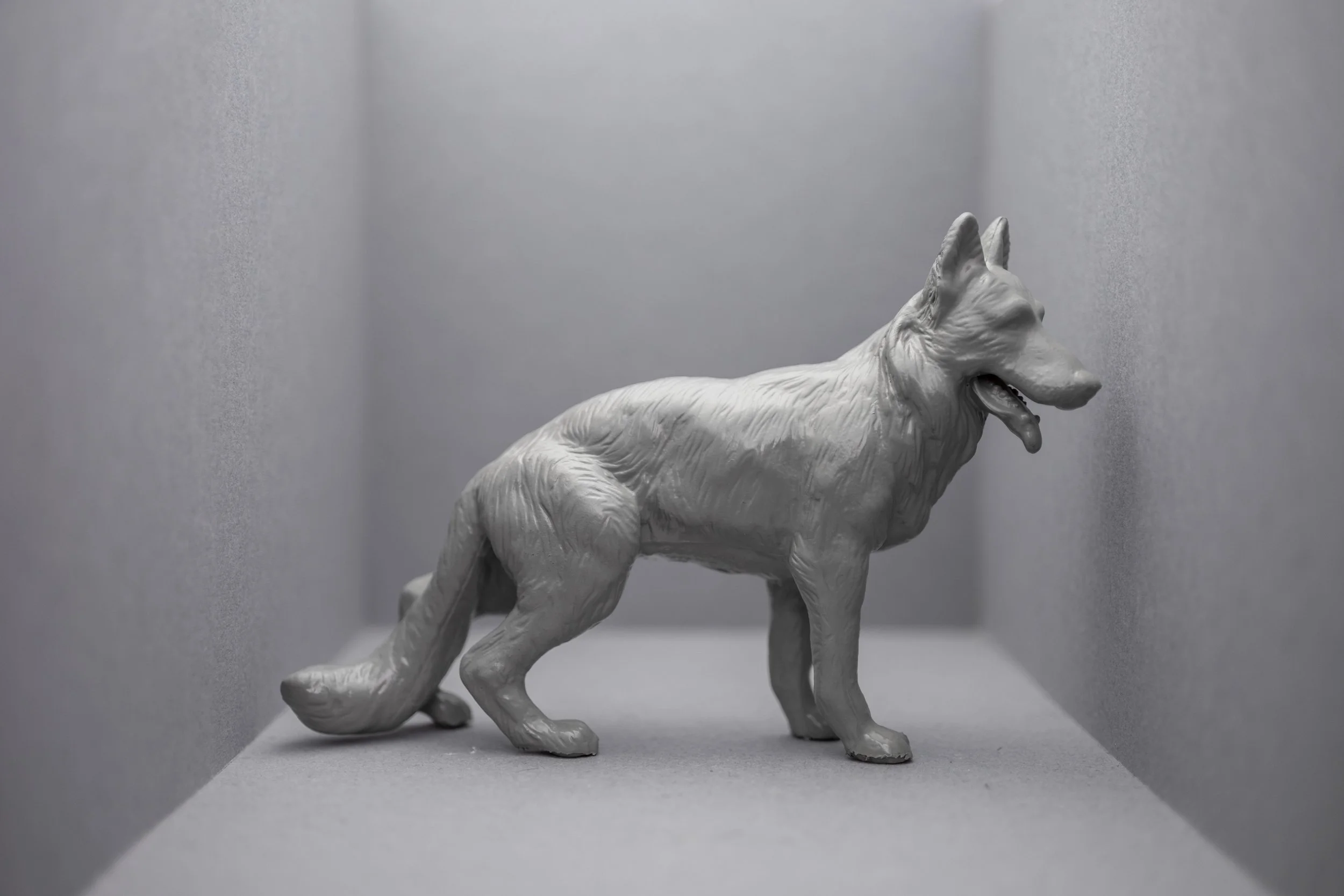 Dog001.jpg