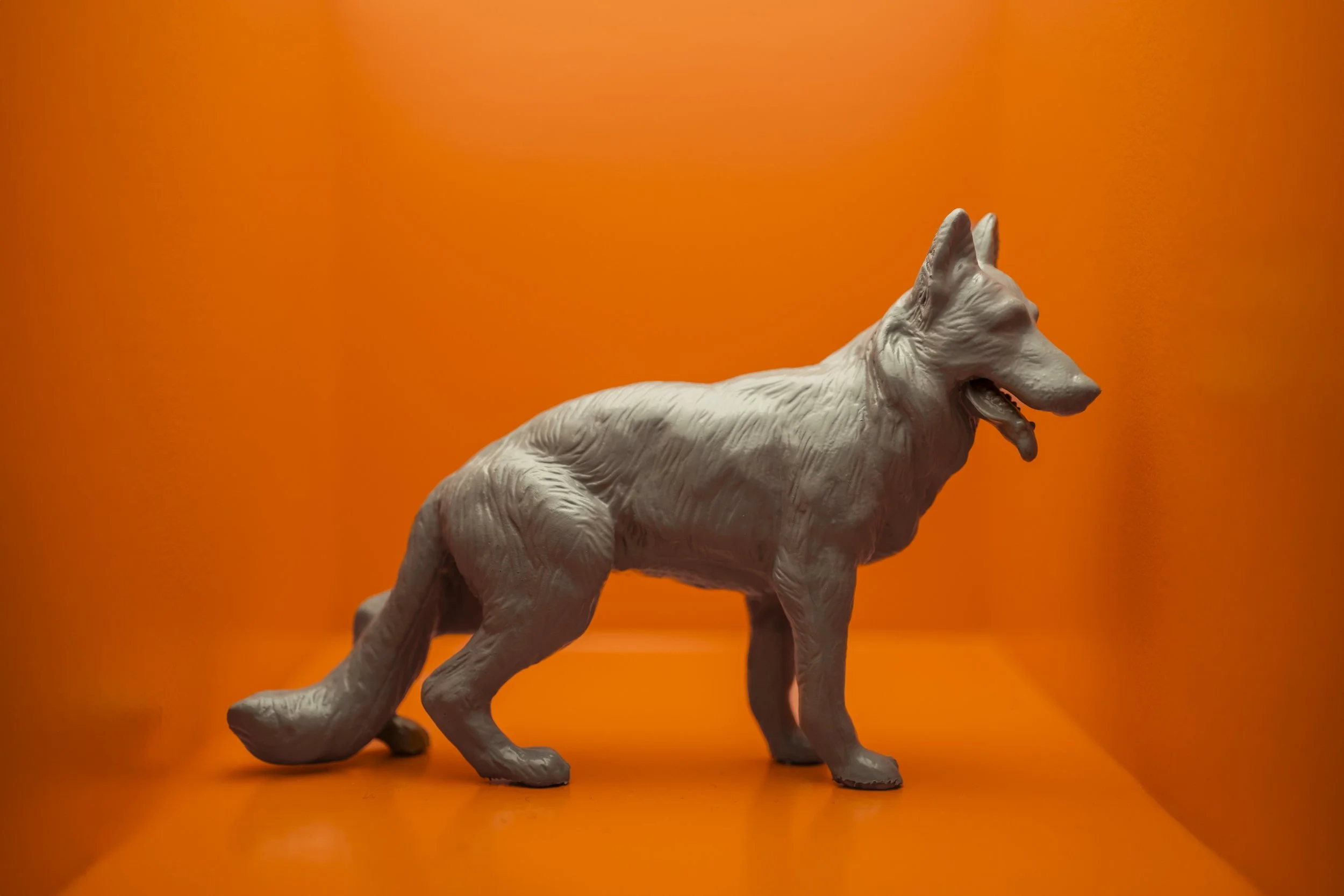 Dog003.jpg