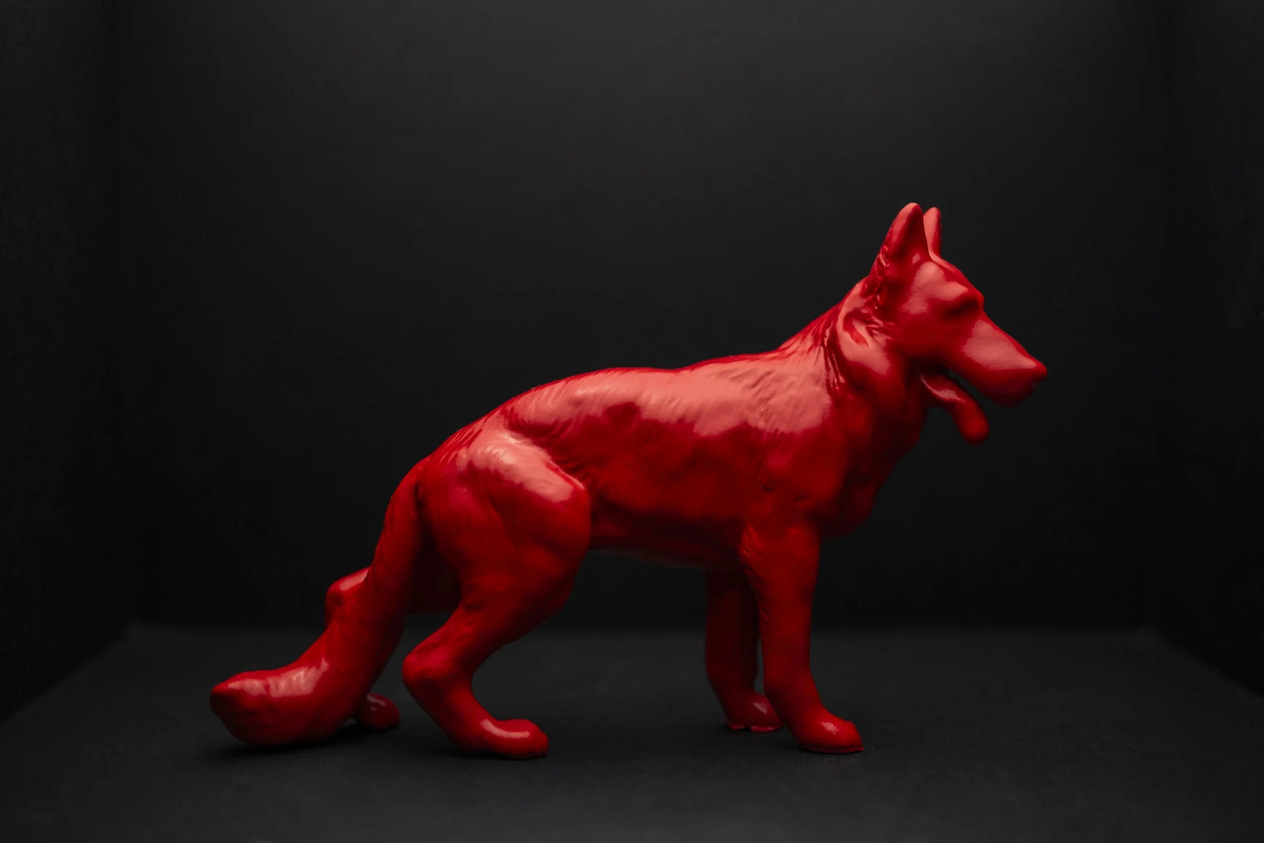 Dog007.jpg
