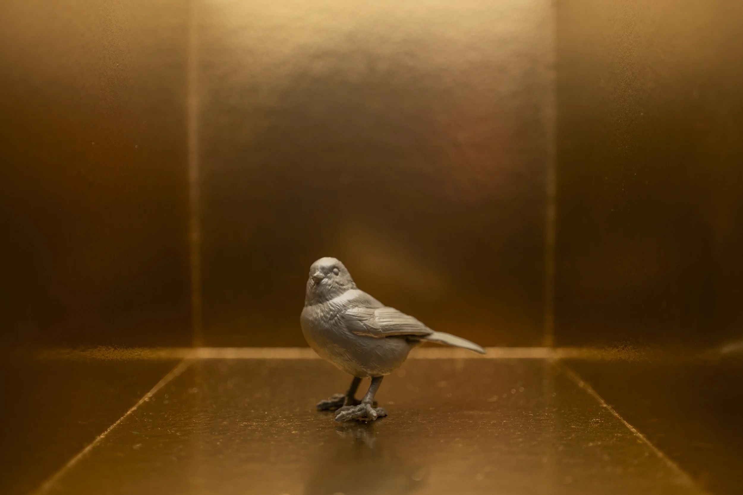 Finch002.jpg