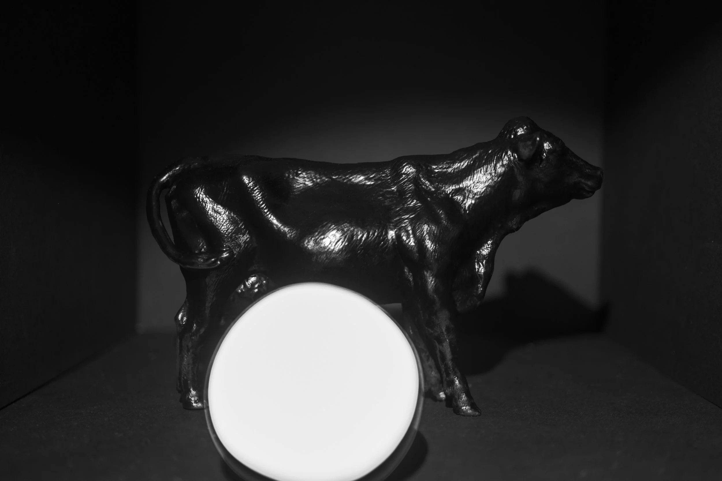 Cows003.jpg