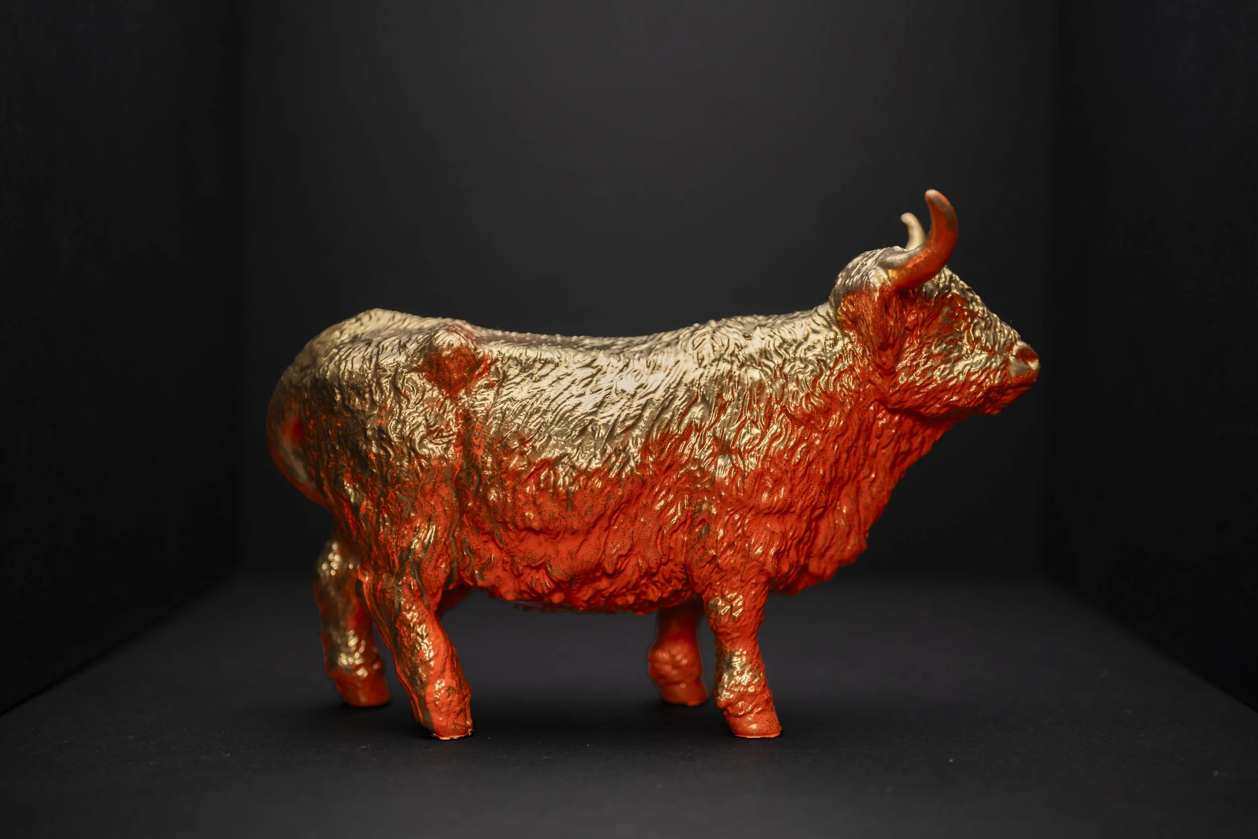 Cows005.jpg